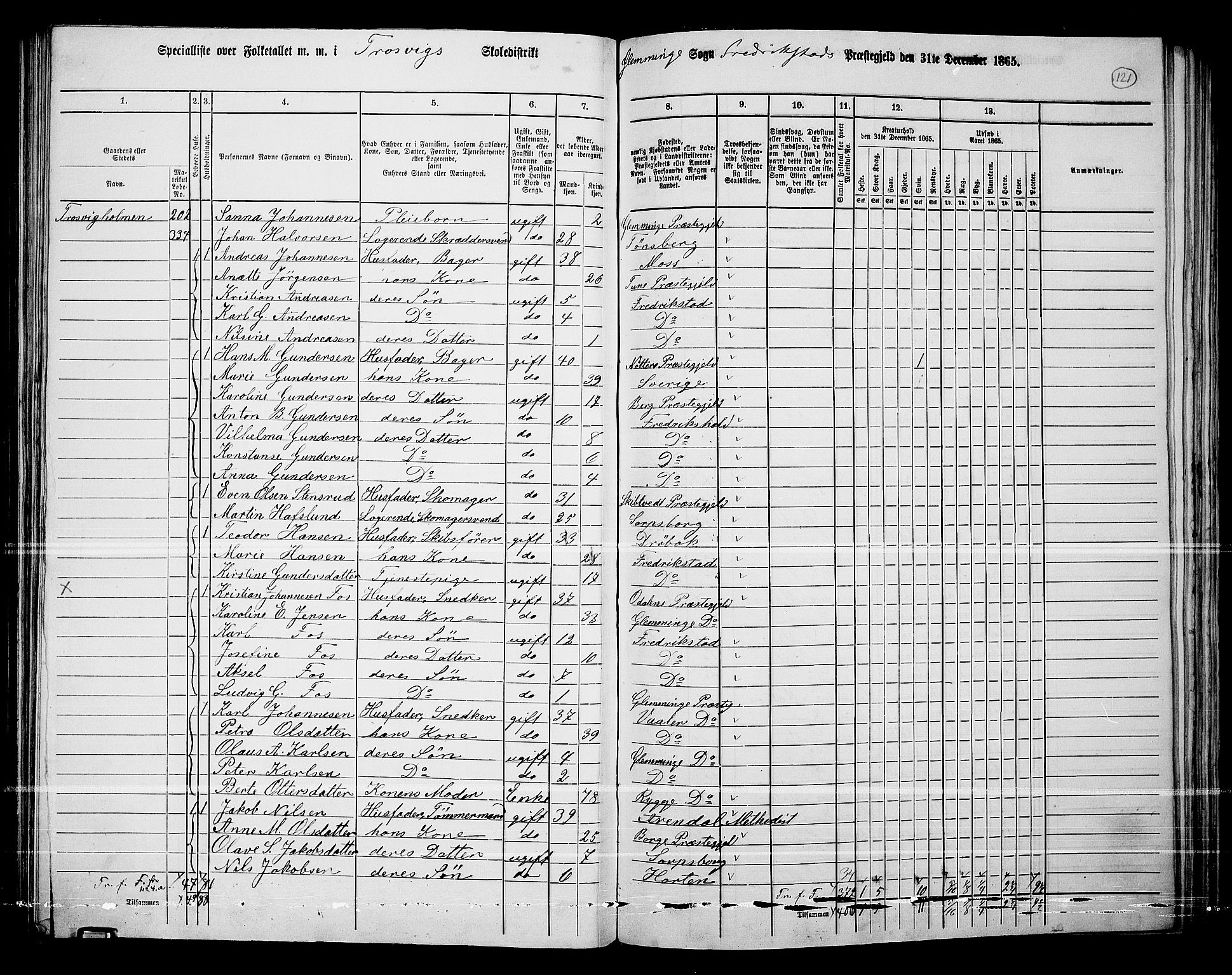 RA, 1865 census for Fredrikstad/Glemmen, 1865, p. 117