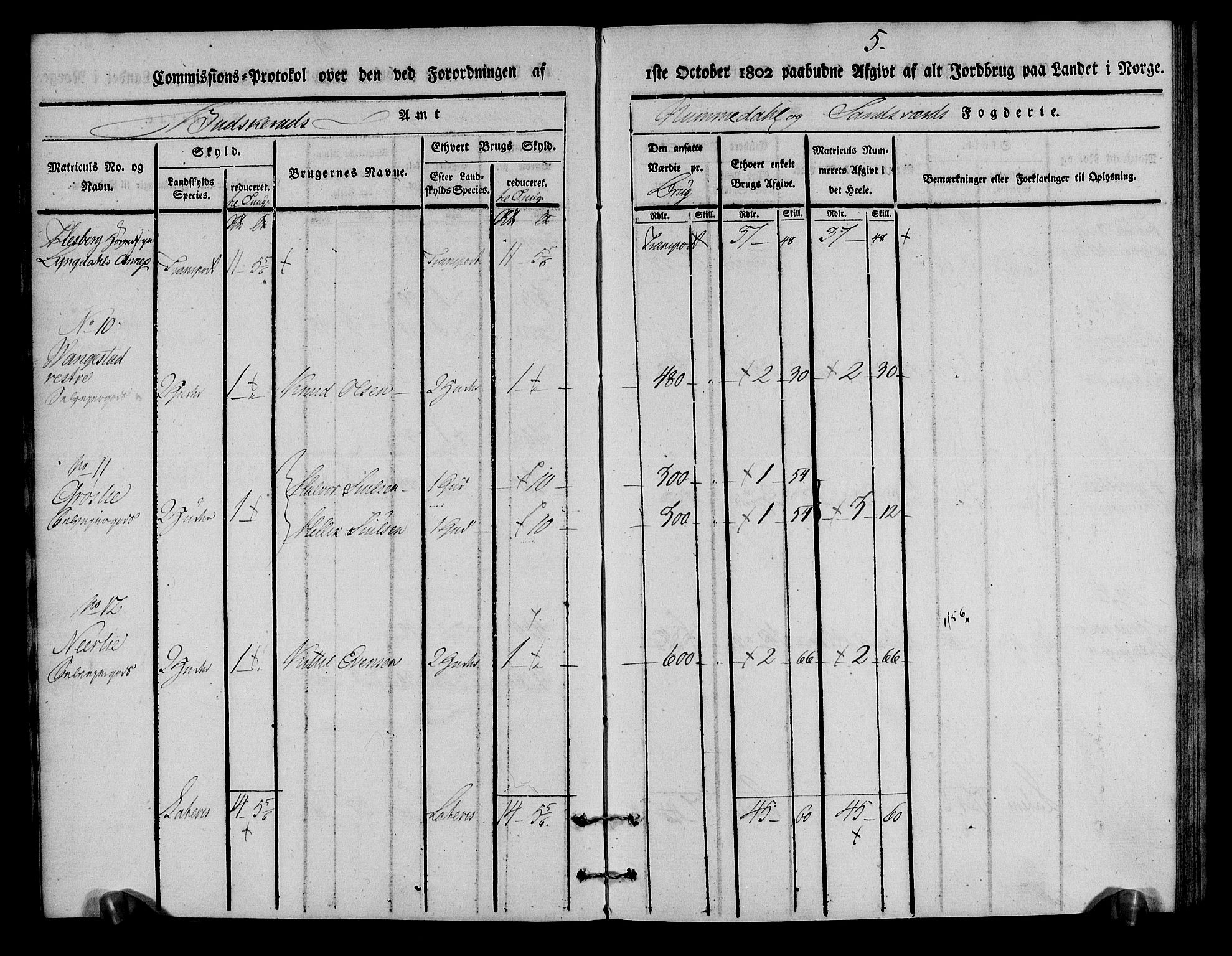 Rentekammeret inntil 1814, Realistisk ordnet avdeling, AV/RA-EA-4070/N/Ne/Nea/L0055: Numedal og Sandsvær fogderi. Kommisjonsprotokoll for Flesberg prestegjeld, 1803, p. 6