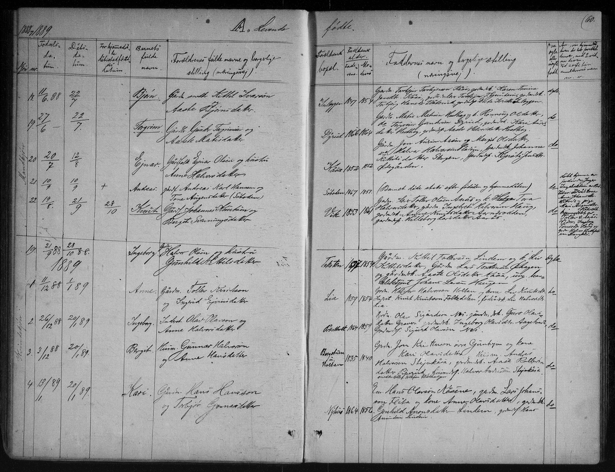 Sauherad kirkebøker, AV/SAKO-A-298/G/Gb/L0002: Parish register (copy) no. II 2, 1866-1897, p. 60