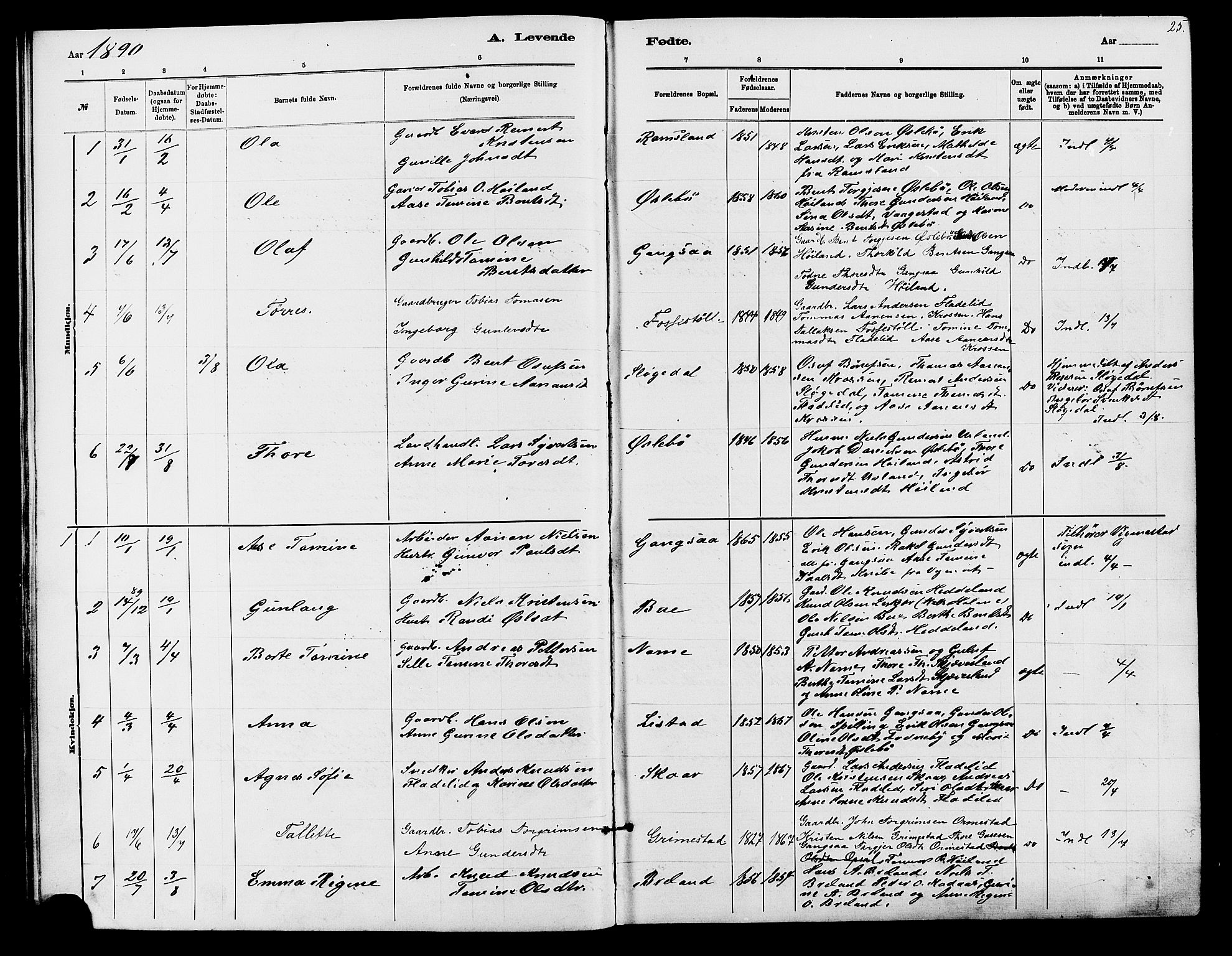 Holum sokneprestkontor, AV/SAK-1111-0022/F/Fb/Fbc/L0003: Parish register (copy) no. B 3, 1882-1908, p. 25