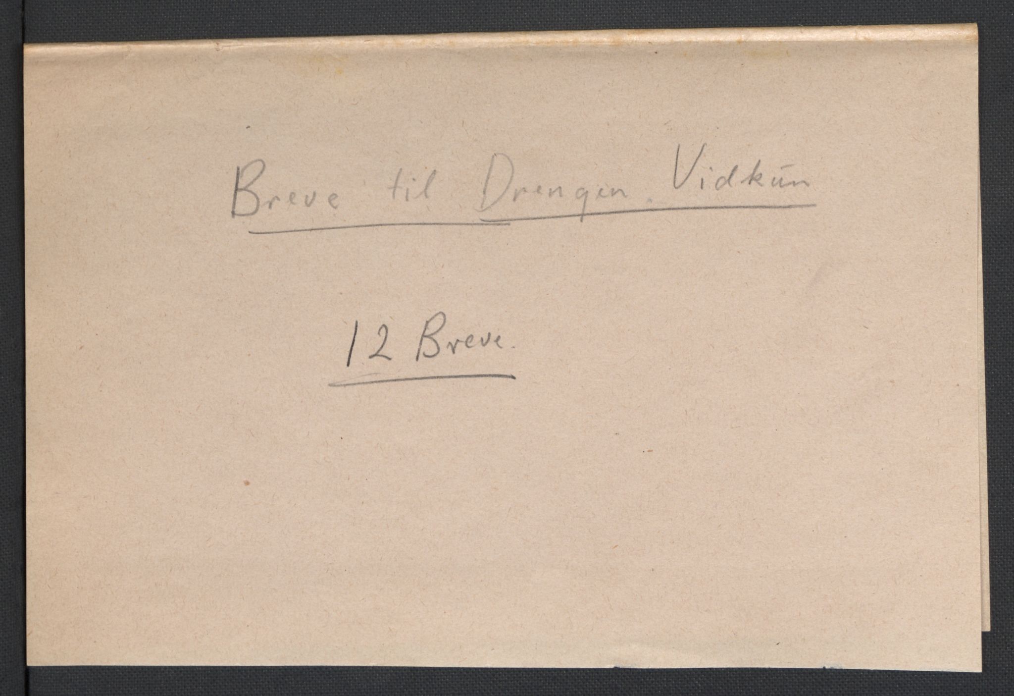 Quisling, Vidkun, RA/PA-0750/K/L0001: Brev til og fra Vidkun Quisling samt til og fra andre medlemmer av familien Quisling + karakterbøker, 1894-1929, p. 12