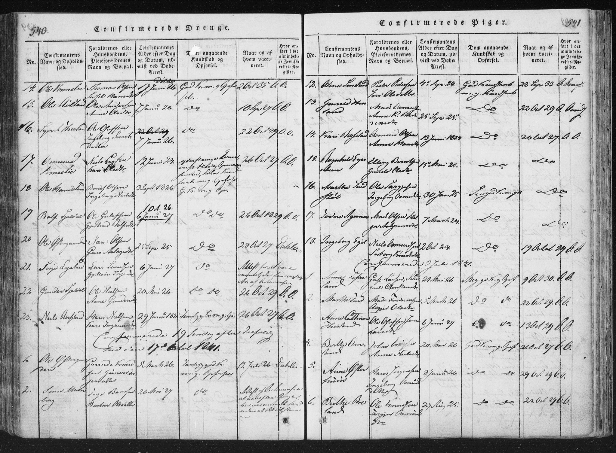 Åseral sokneprestkontor, SAK/1111-0051/F/Fa/L0001: Parish register (official) no. A 1, 1815-1853, p. 540-541