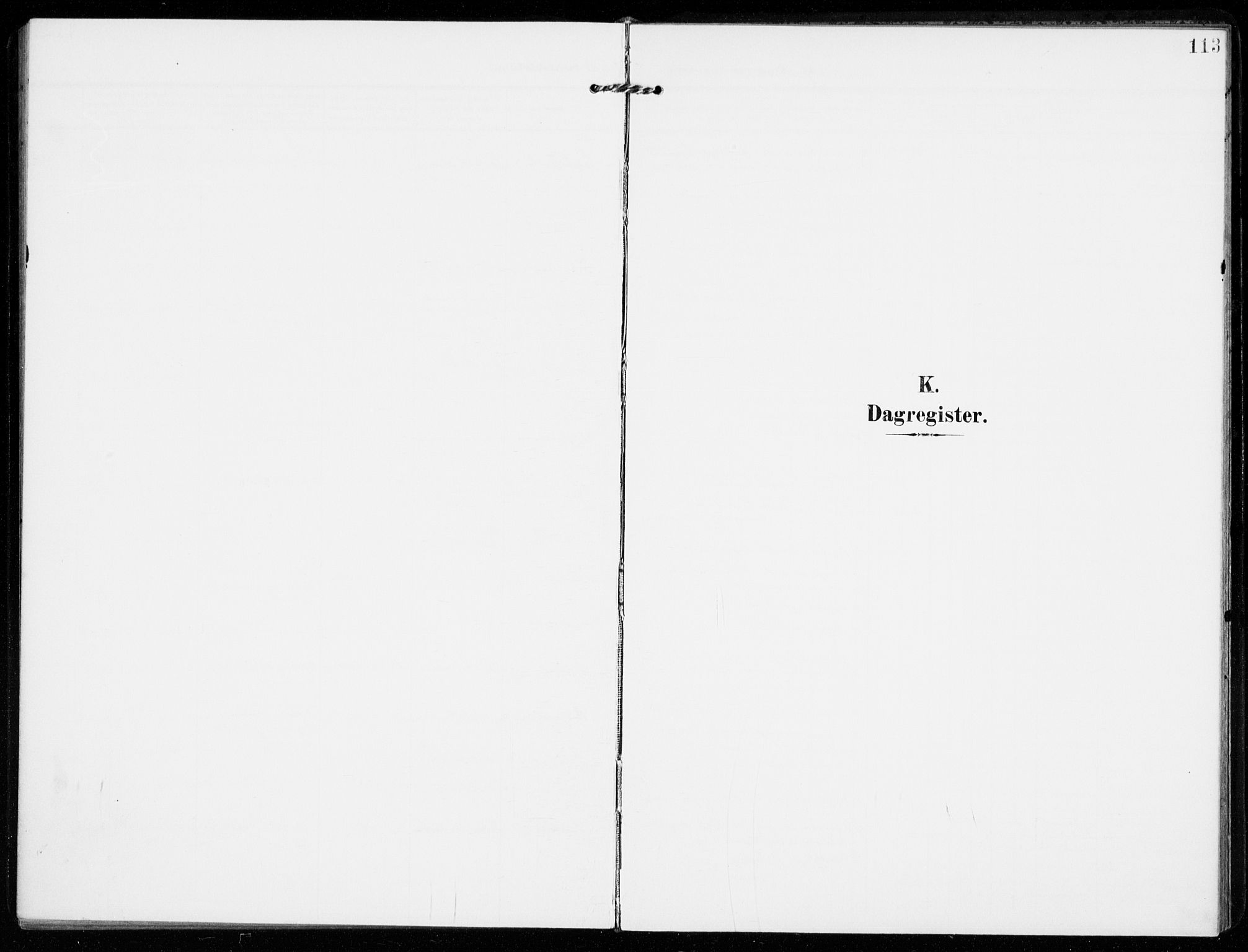 Sandar kirkebøker, SAKO/A-243/F/Fa/L0019: Parish register (official) no. 19, 1908-1914, p. 113