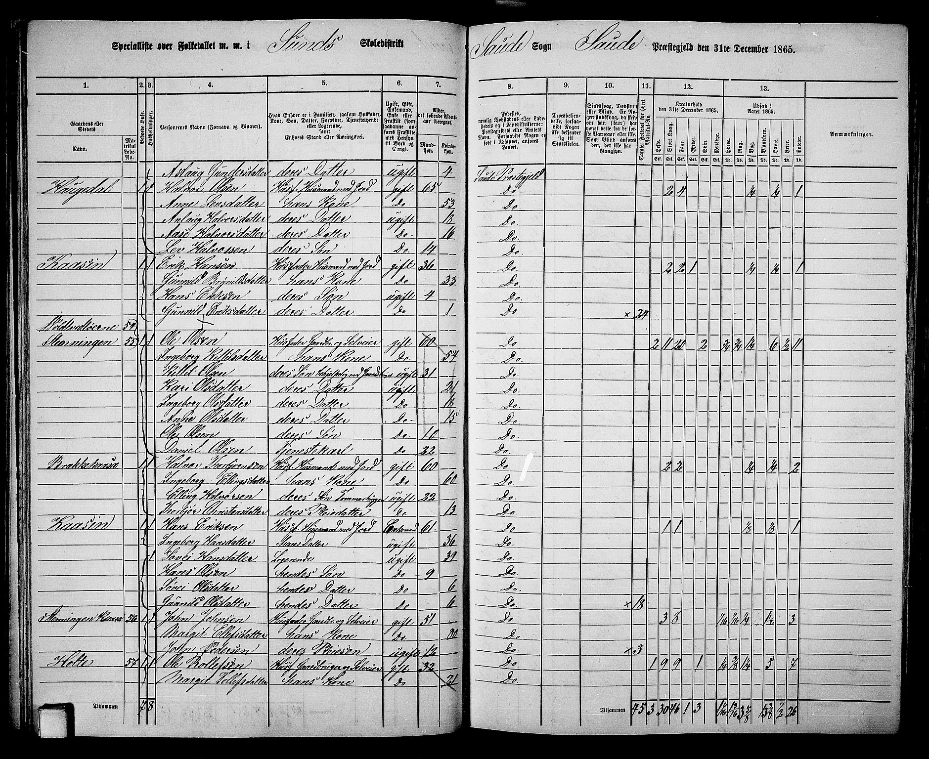 RA, 1865 census for Sauherad, 1865, p. 51