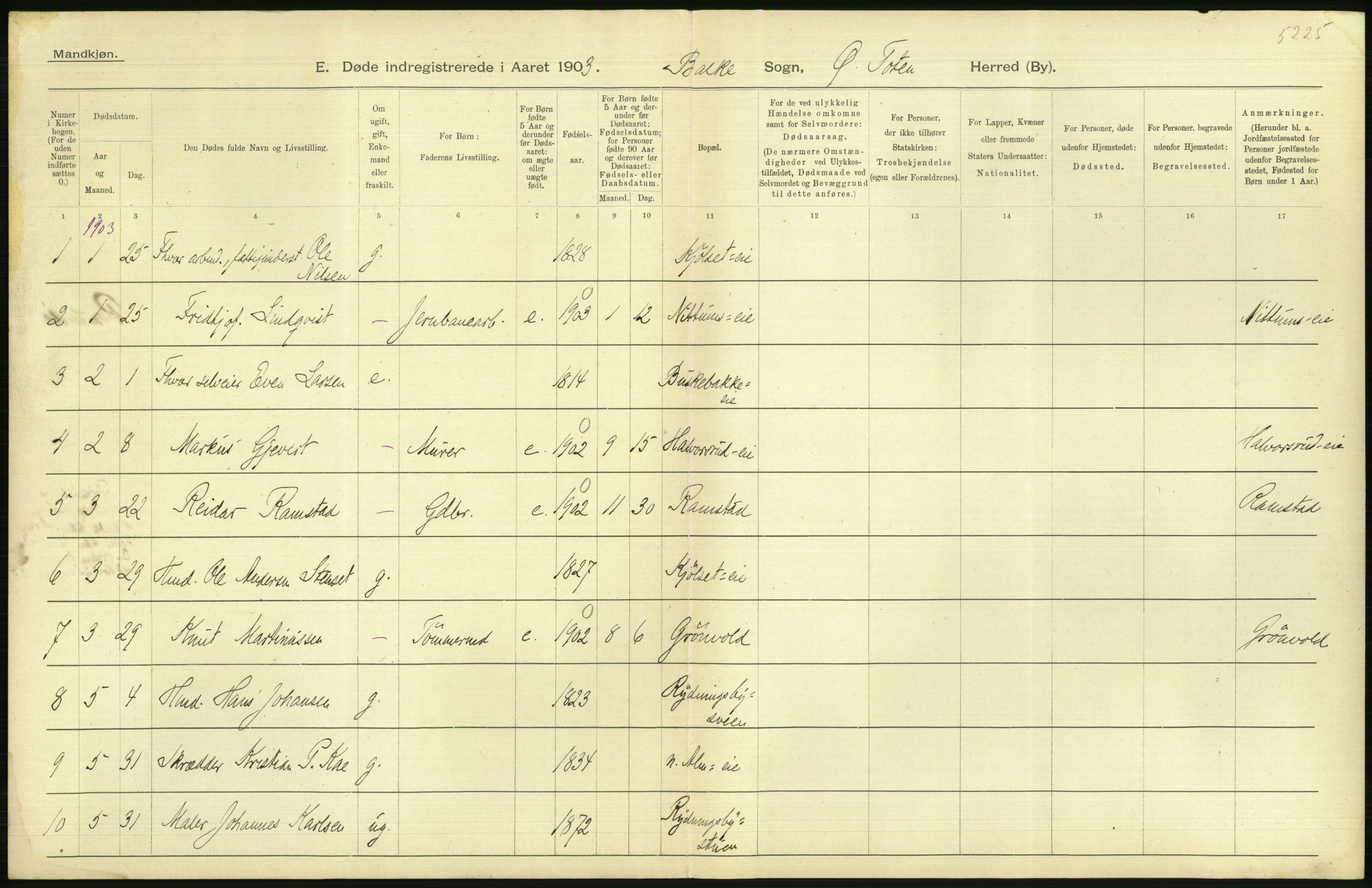 Statistisk sentralbyrå, Sosiodemografiske emner, Befolkning, AV/RA-S-2228/D/Df/Dfa/Dfaa/L0006: Kristians amt: Fødte, gifte, døde, 1903, p. 566