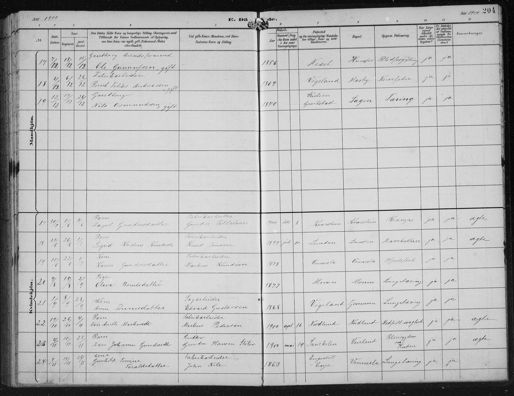 Vennesla sokneprestkontor, AV/SAK-1111-0045/Fb/Fbb/L0004: Parish register (copy) no. B 4, 1893-1902, p. 204