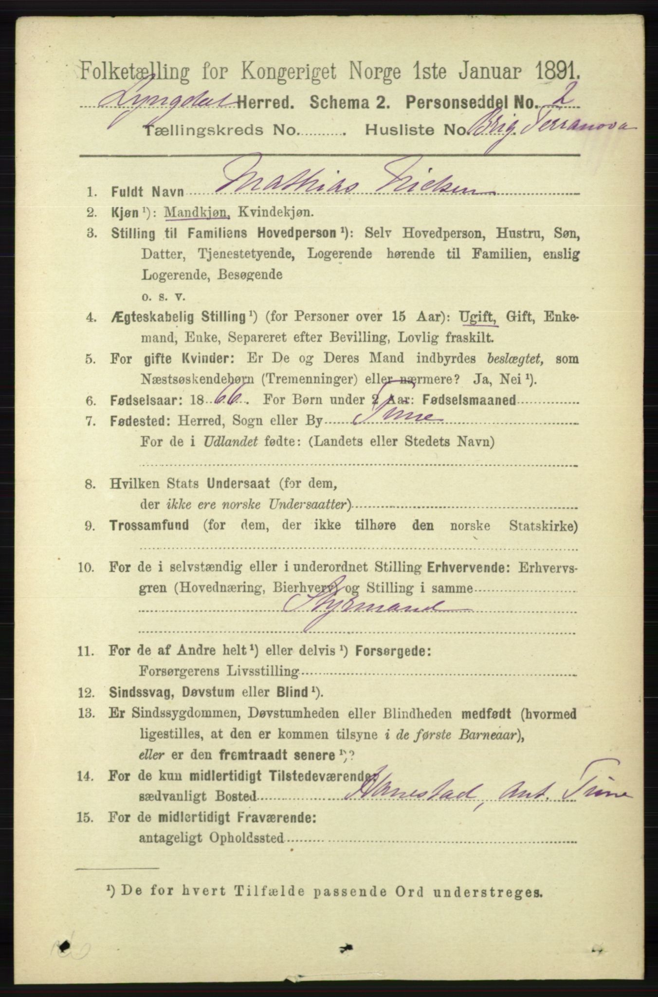 RA, 1891 census for 1032 Lyngdal, 1891, p. 6484