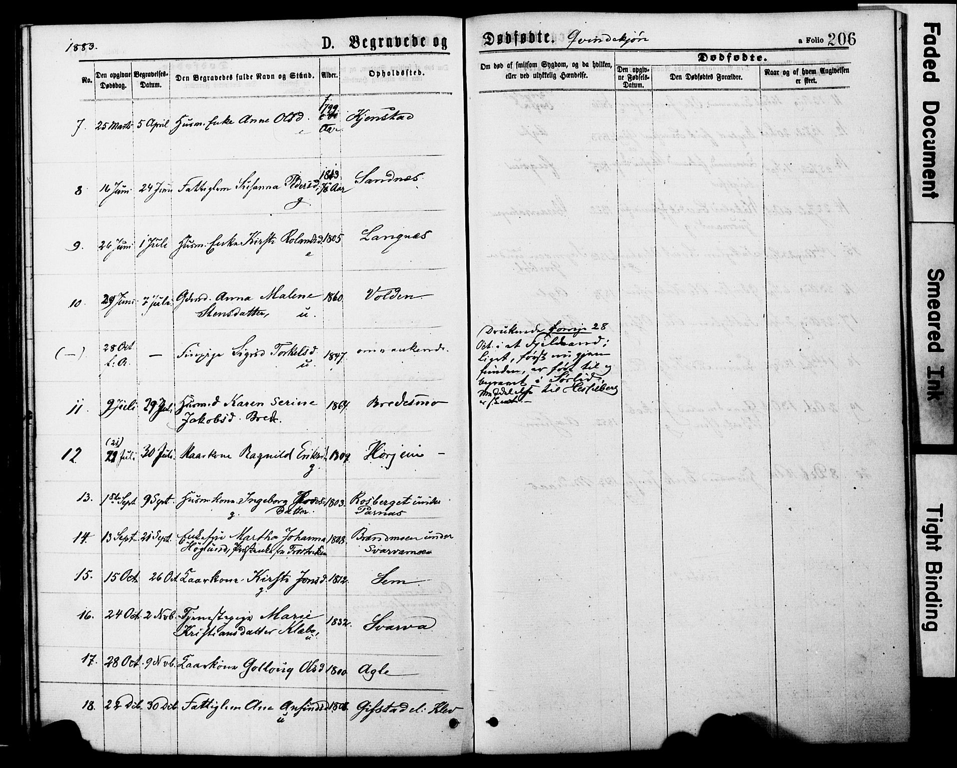 Ministerialprotokoller, klokkerbøker og fødselsregistre - Nord-Trøndelag, AV/SAT-A-1458/749/L0473: Parish register (official) no. 749A07, 1873-1887, p. 206