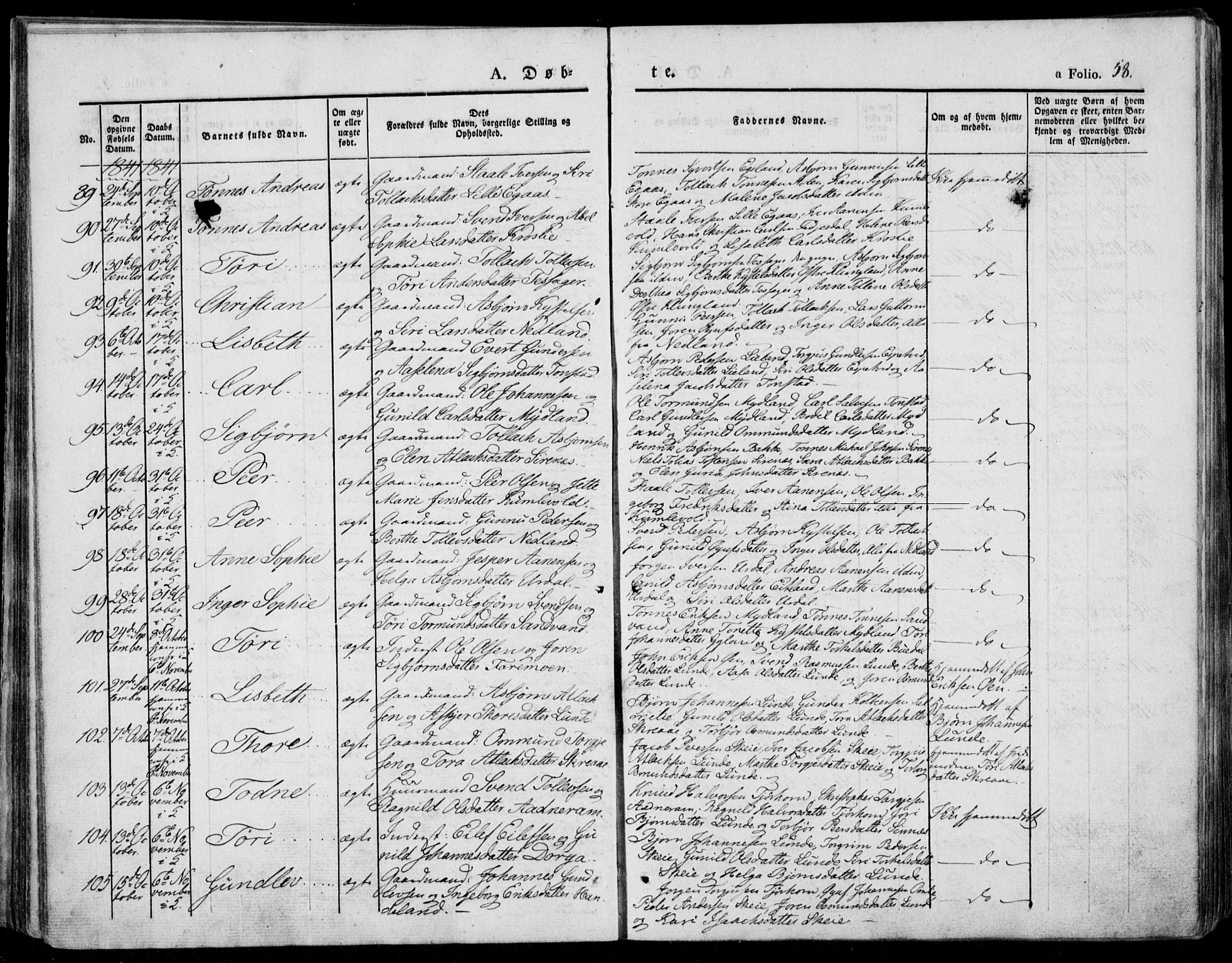 Bakke sokneprestkontor, AV/SAK-1111-0002/F/Fa/Faa/L0004: Parish register (official) no. A 4, 1834-1846, p. 58