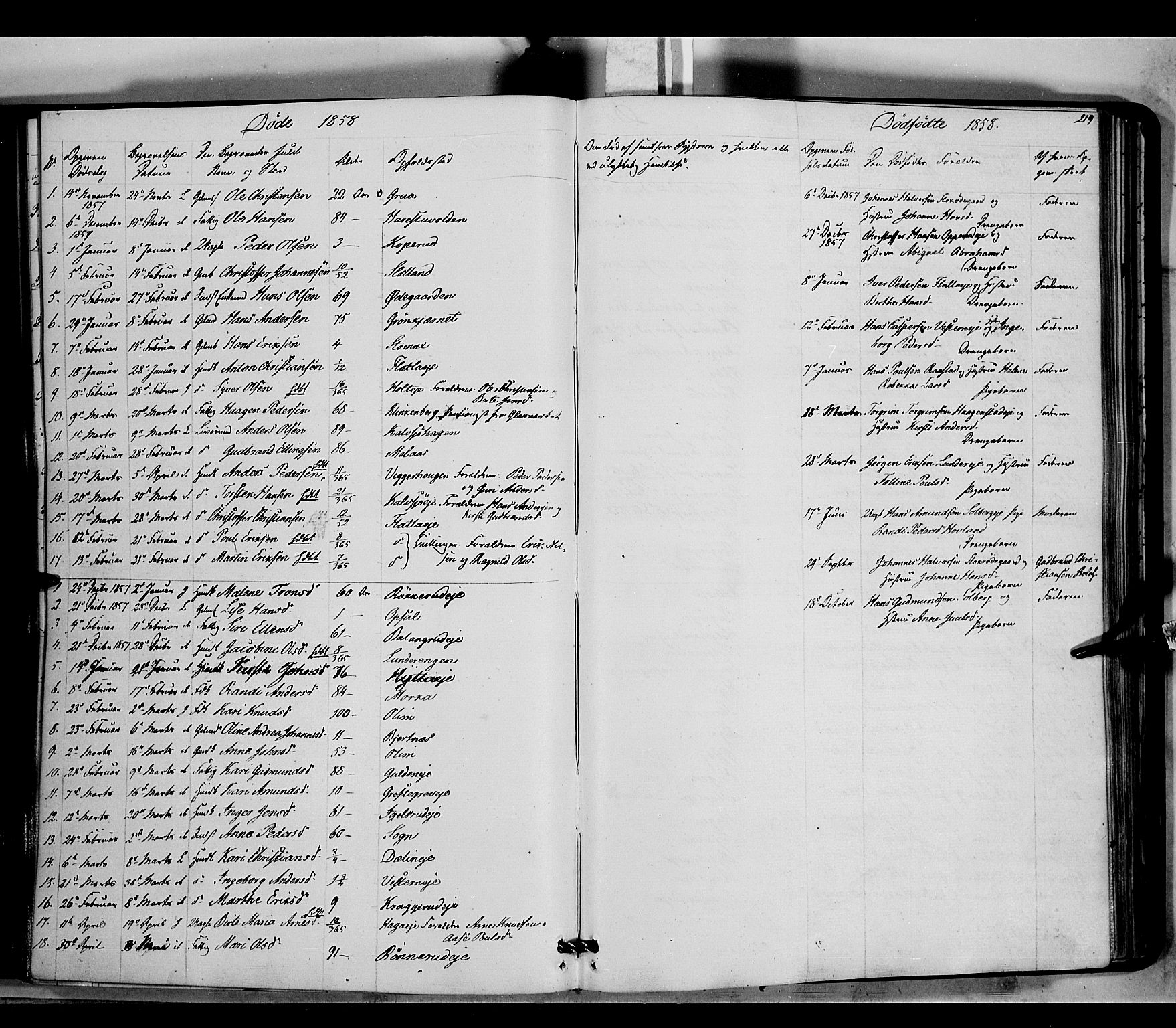 Jevnaker prestekontor, AV/SAH-PREST-116/H/Ha/Haa/L0007: Parish register (official) no. 7, 1858-1876, p. 219