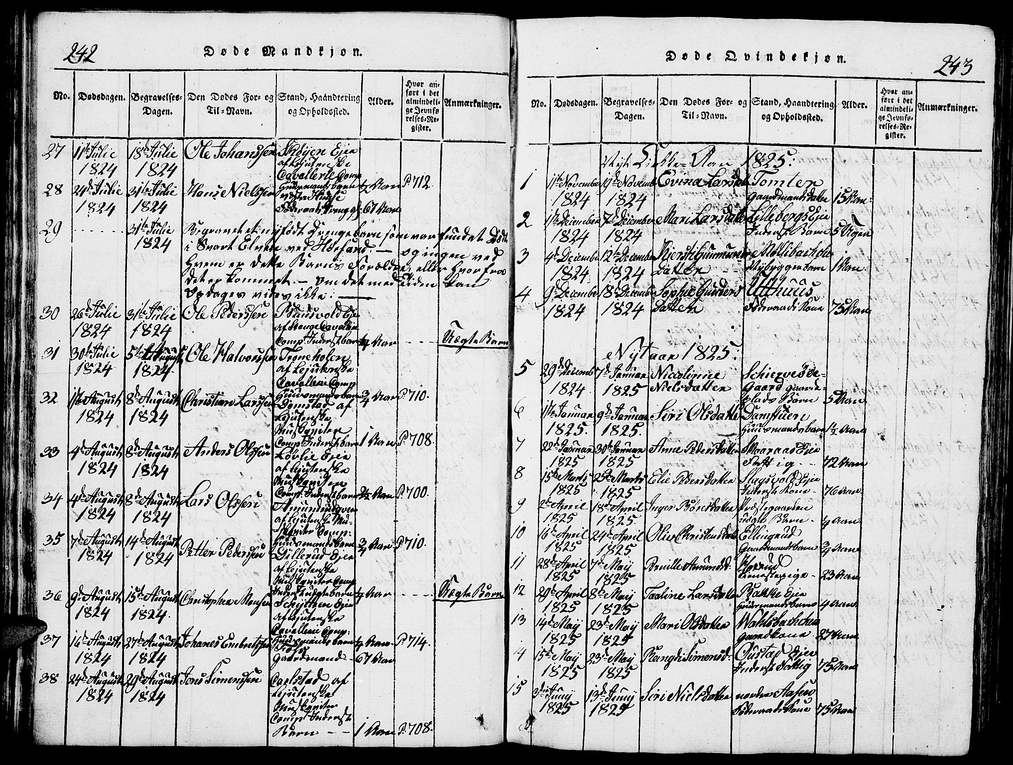Romedal prestekontor, SAH/PREST-004/L/L0005: Parish register (copy) no. 5, 1814-1829, p. 242-243