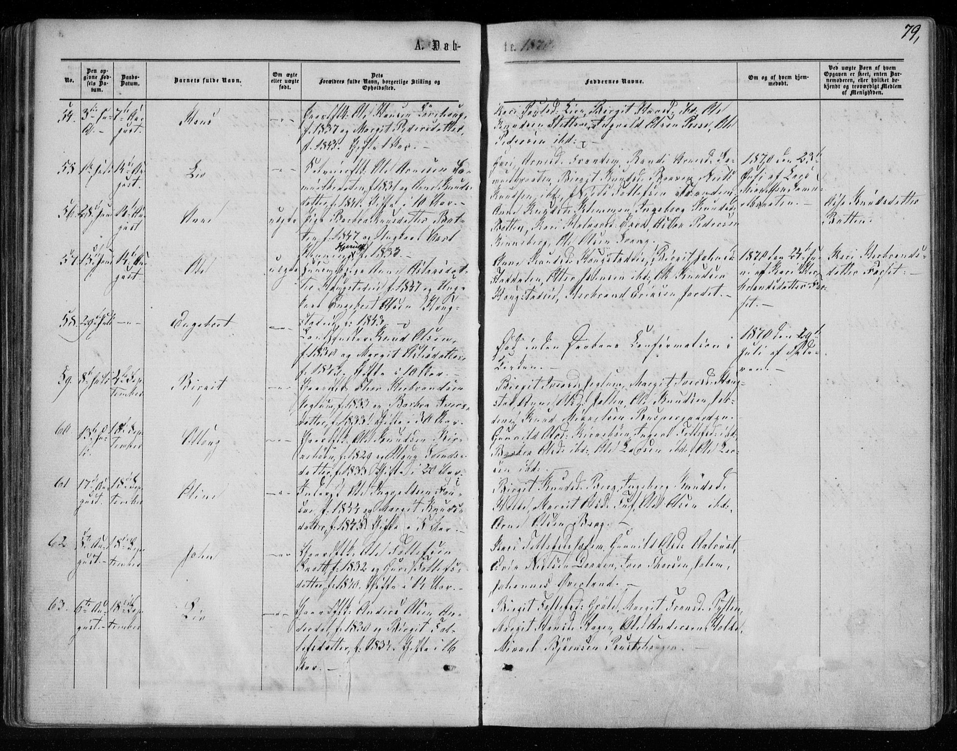 Gol kirkebøker, AV/SAKO-A-226/F/Fa/L0003: Parish register (official) no. I 3, 1863-1875, p. 79