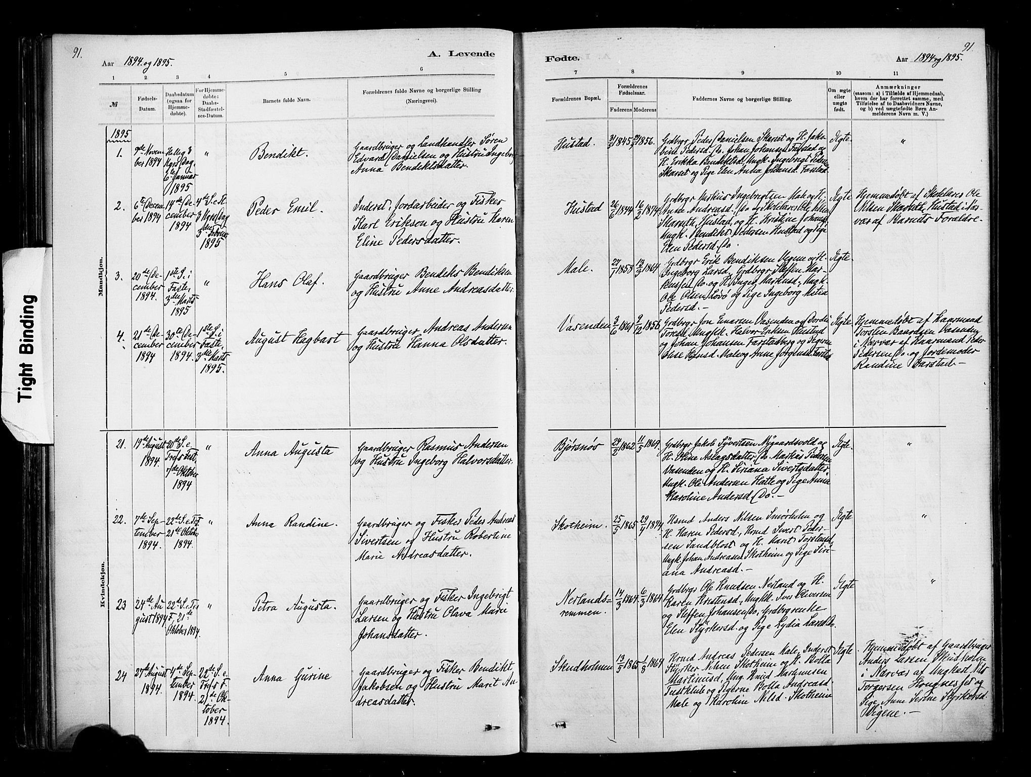 Ministerialprotokoller, klokkerbøker og fødselsregistre - Møre og Romsdal, AV/SAT-A-1454/567/L0778: Parish register (official) no. 567A01, 1881-1903, p. 91