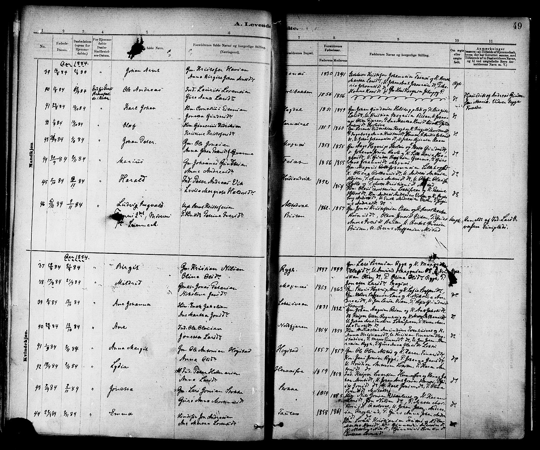 Ministerialprotokoller, klokkerbøker og fødselsregistre - Nord-Trøndelag, SAT/A-1458/713/L0120: Parish register (official) no. 713A09, 1878-1887, p. 49