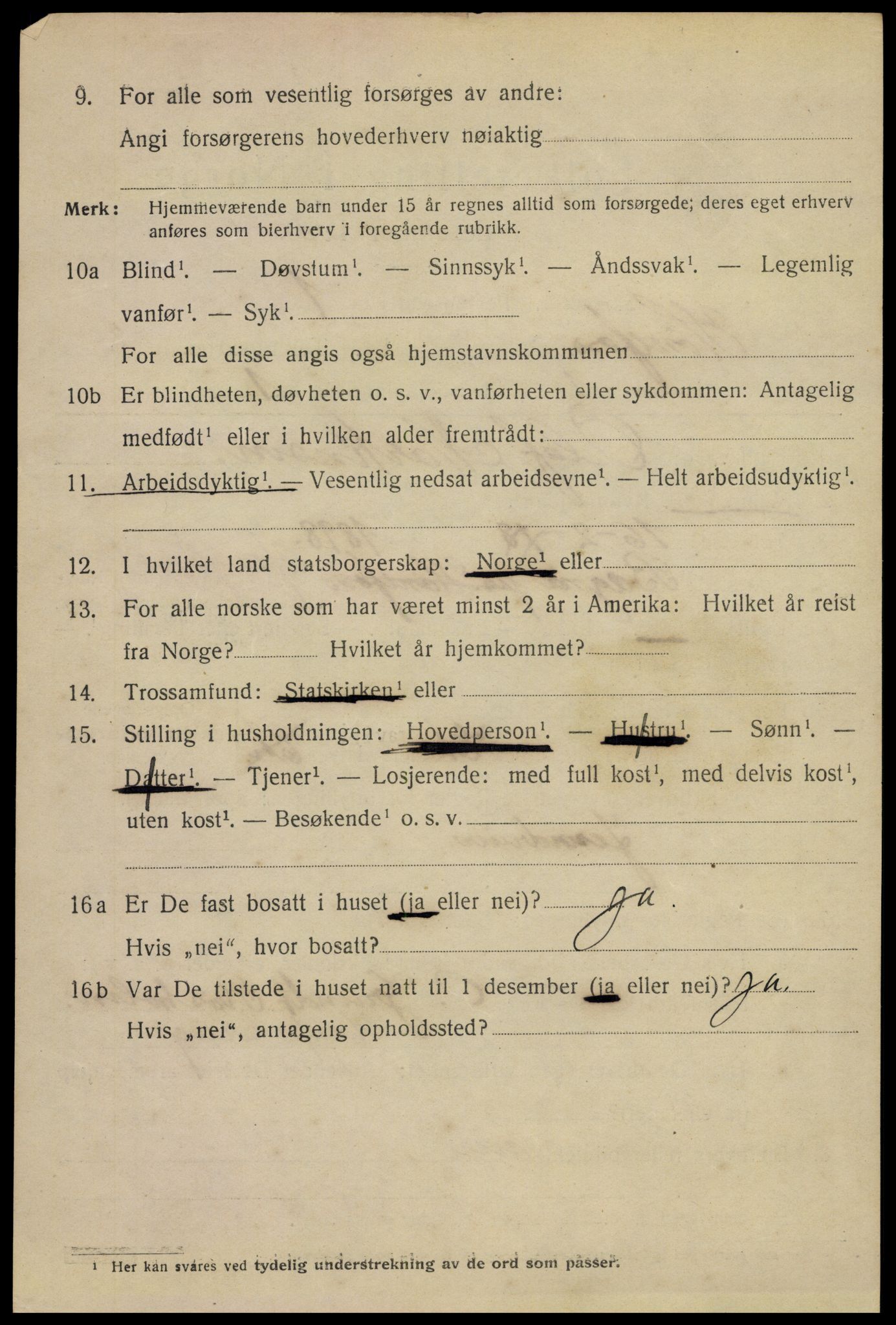 SAKO, 1920 census for Hønefoss, 1920, p. 4069