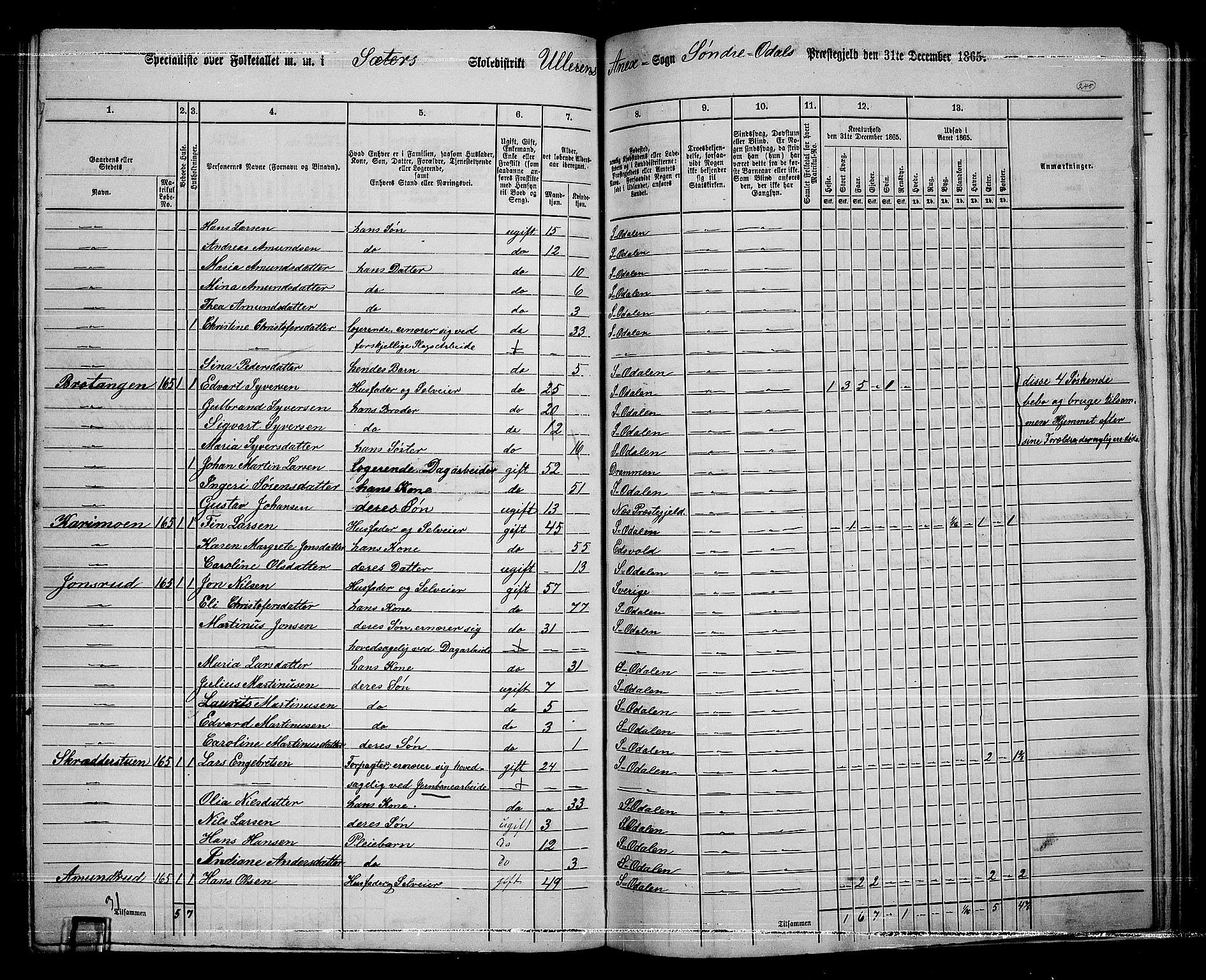 RA, 1865 census for Sør-Odal, 1865, p. 215