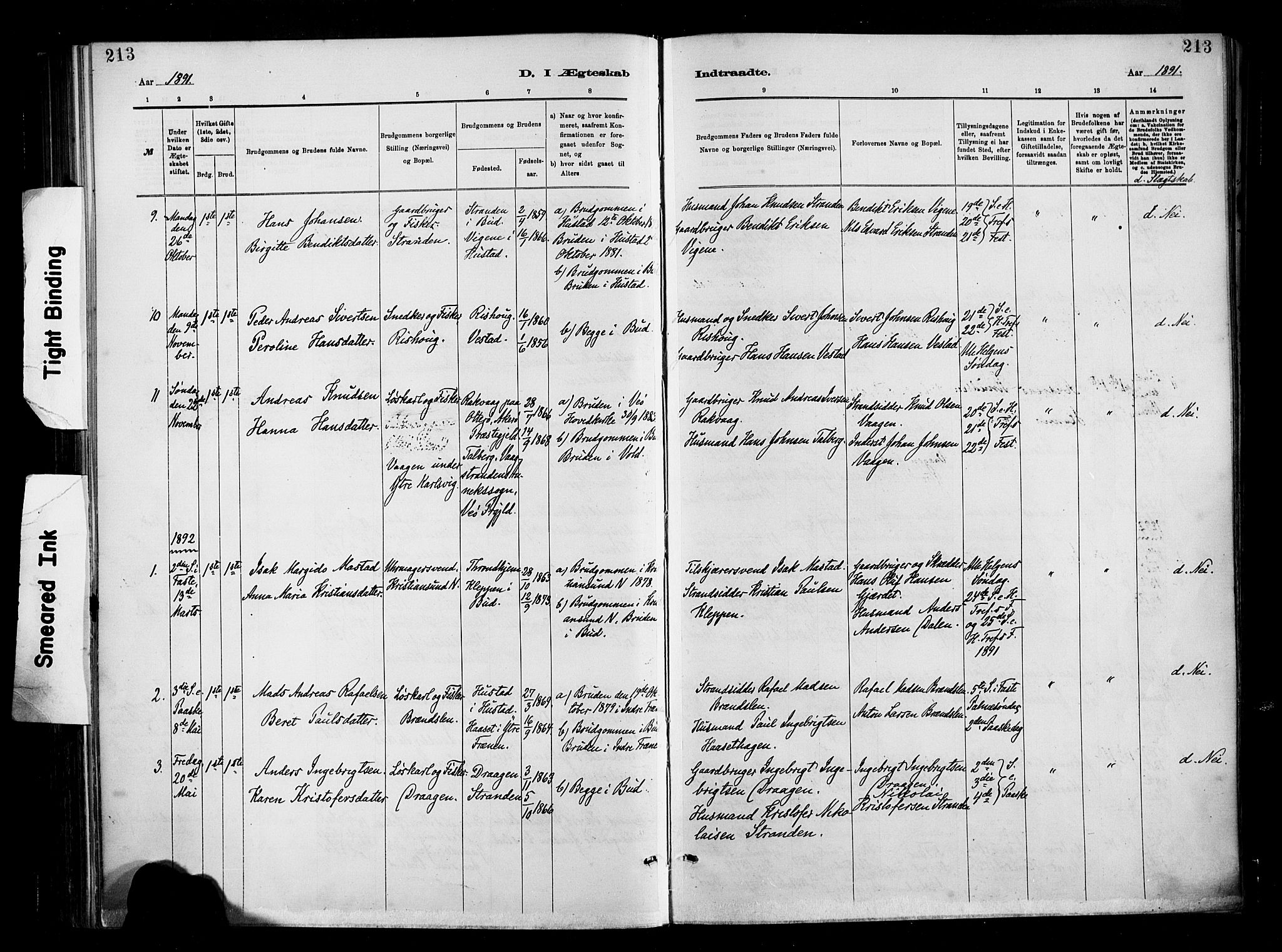 Ministerialprotokoller, klokkerbøker og fødselsregistre - Møre og Romsdal, SAT/A-1454/566/L0769: Parish register (official) no. 566A08, 1881-1903, p. 213