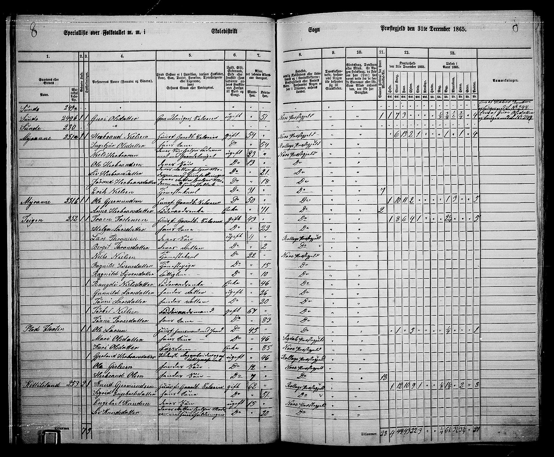 RA, 1865 census for Nore, 1865, p. 20