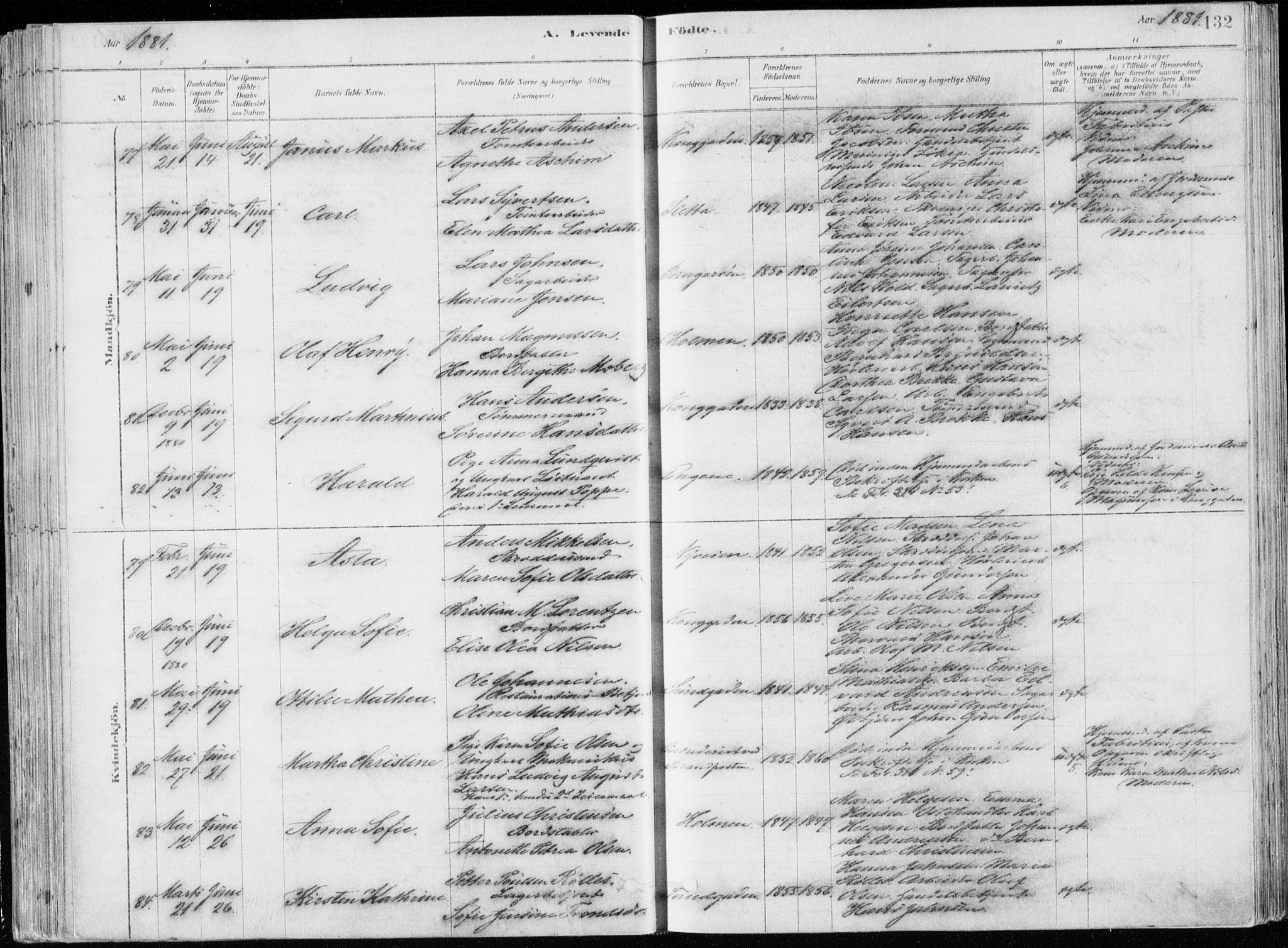 Bragernes kirkebøker, AV/SAKO-A-6/F/Fb/L0006a: Parish register (official) no. II 6A, 1878-1885, p. 132