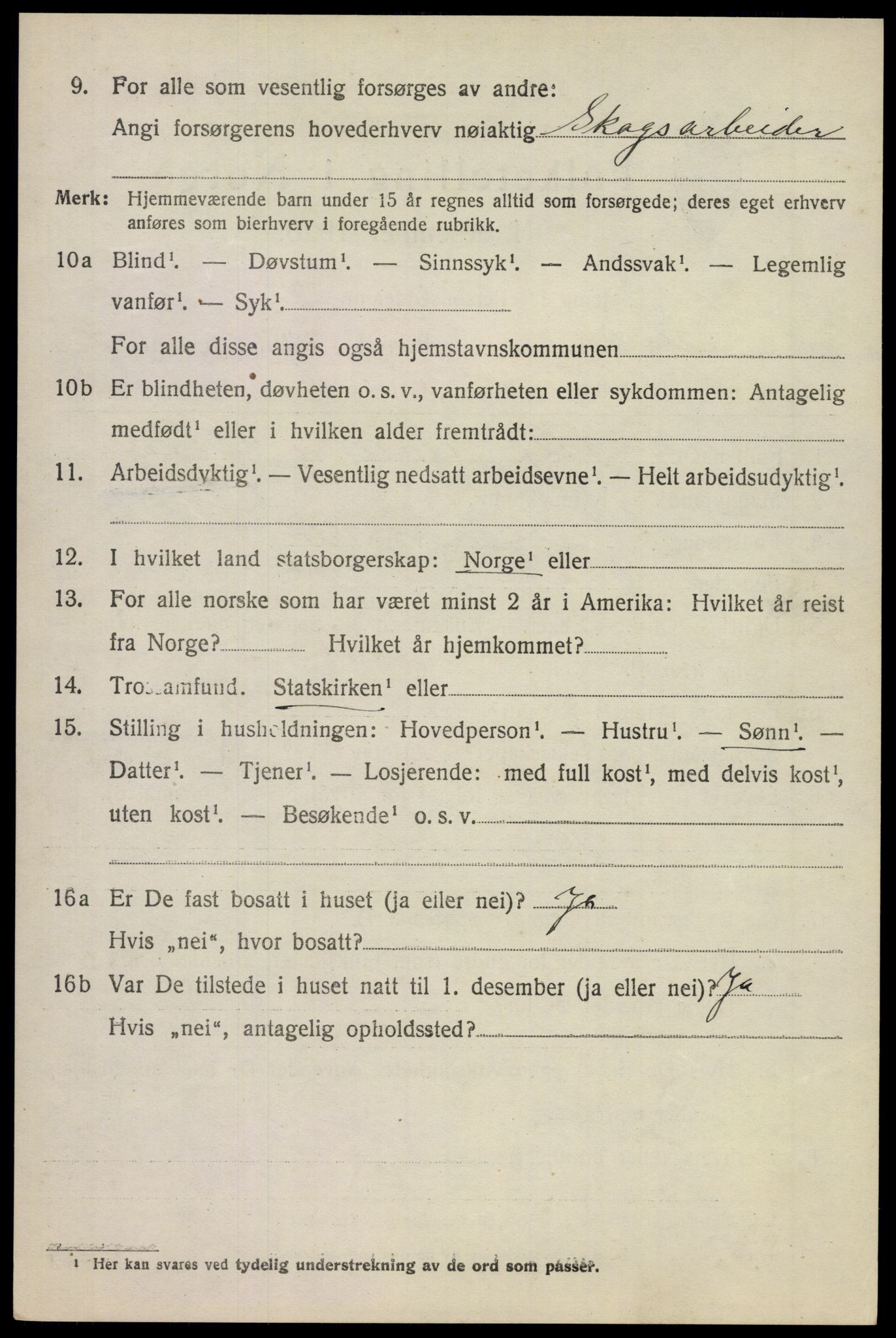 SAKO, 1920 census for Stokke, 1920, p. 10911