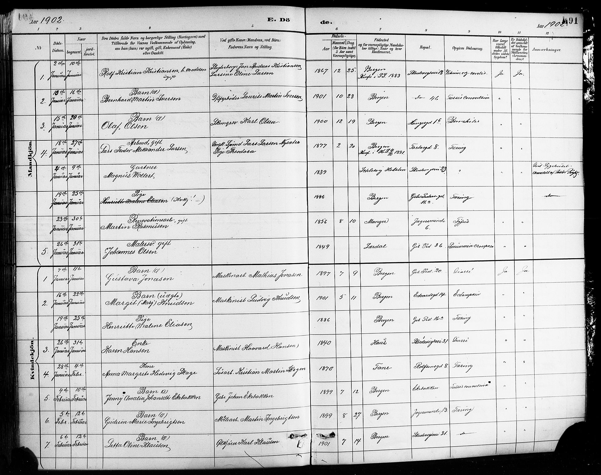Sandviken Sokneprestembete, SAB/A-77601/H/Hb/L0002: Parish register (copy) no. A 3, 1888-1902, p. 491