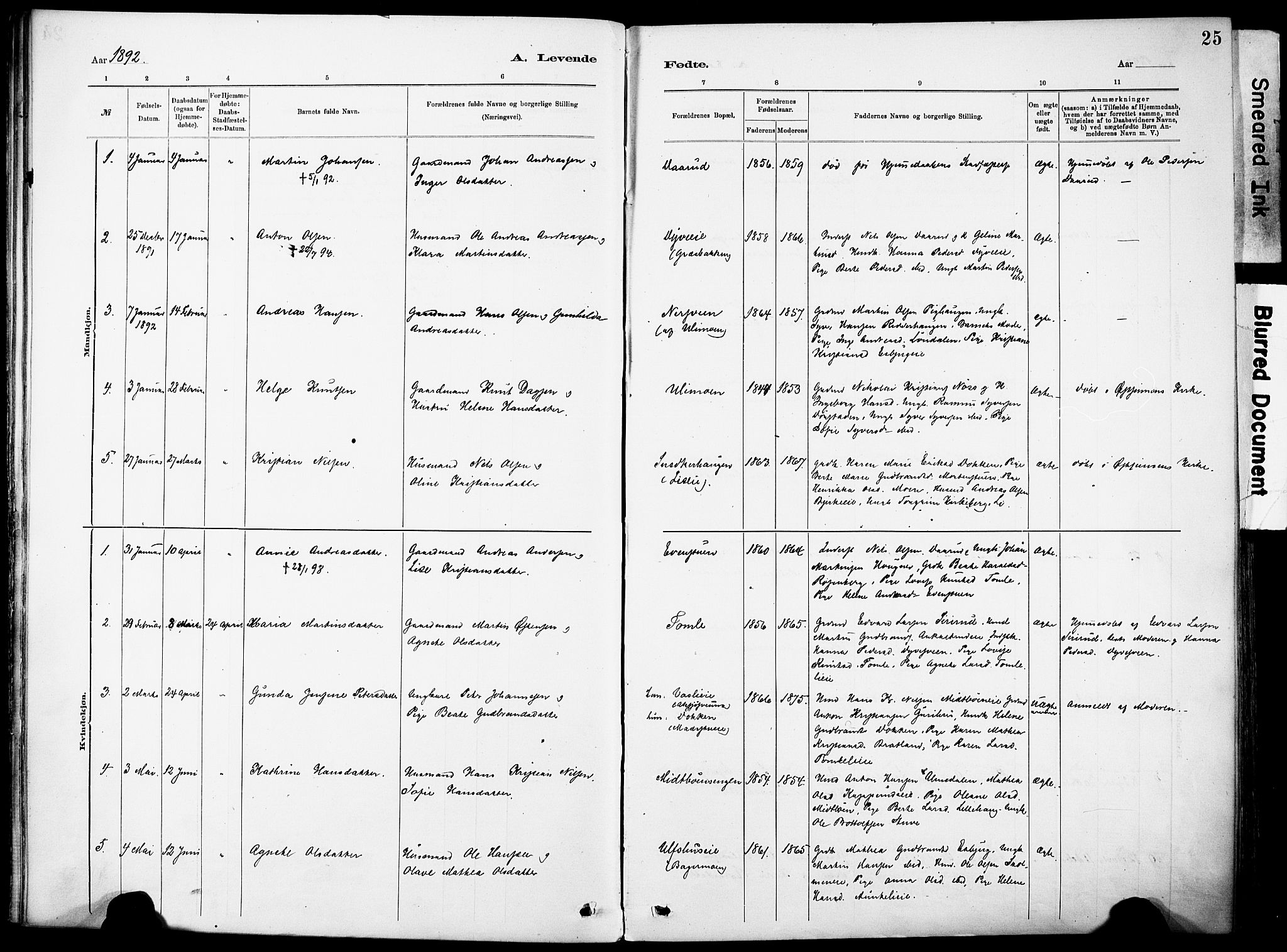 Nordre Land prestekontor, SAH/PREST-124/H/Ha/Haa/L0005: Parish register (official) no. 5, 1882-1903, p. 25