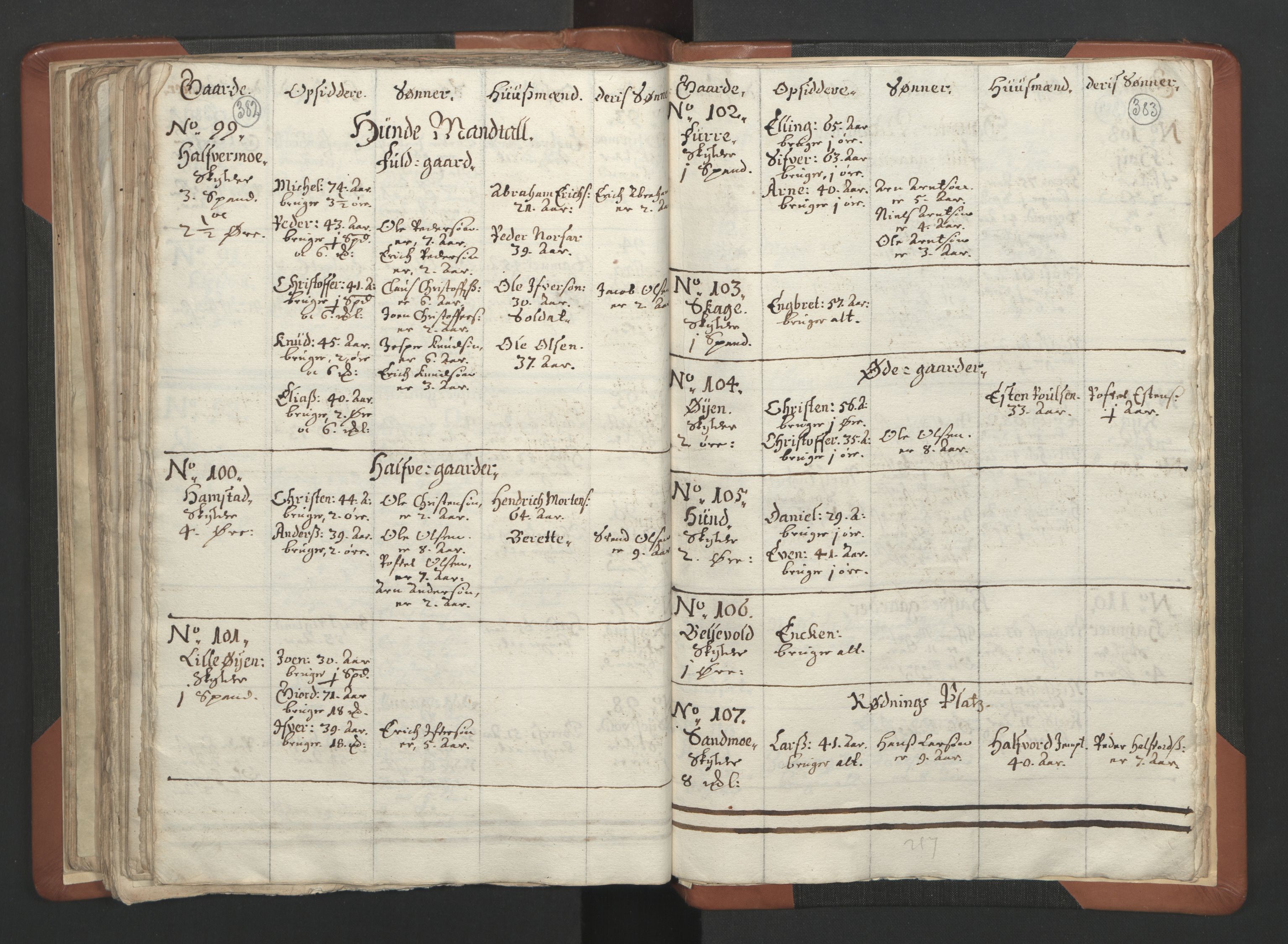 RA, Vicar's Census 1664-1666, no. 34: Namdal deanery, 1664-1666, p. 382-383