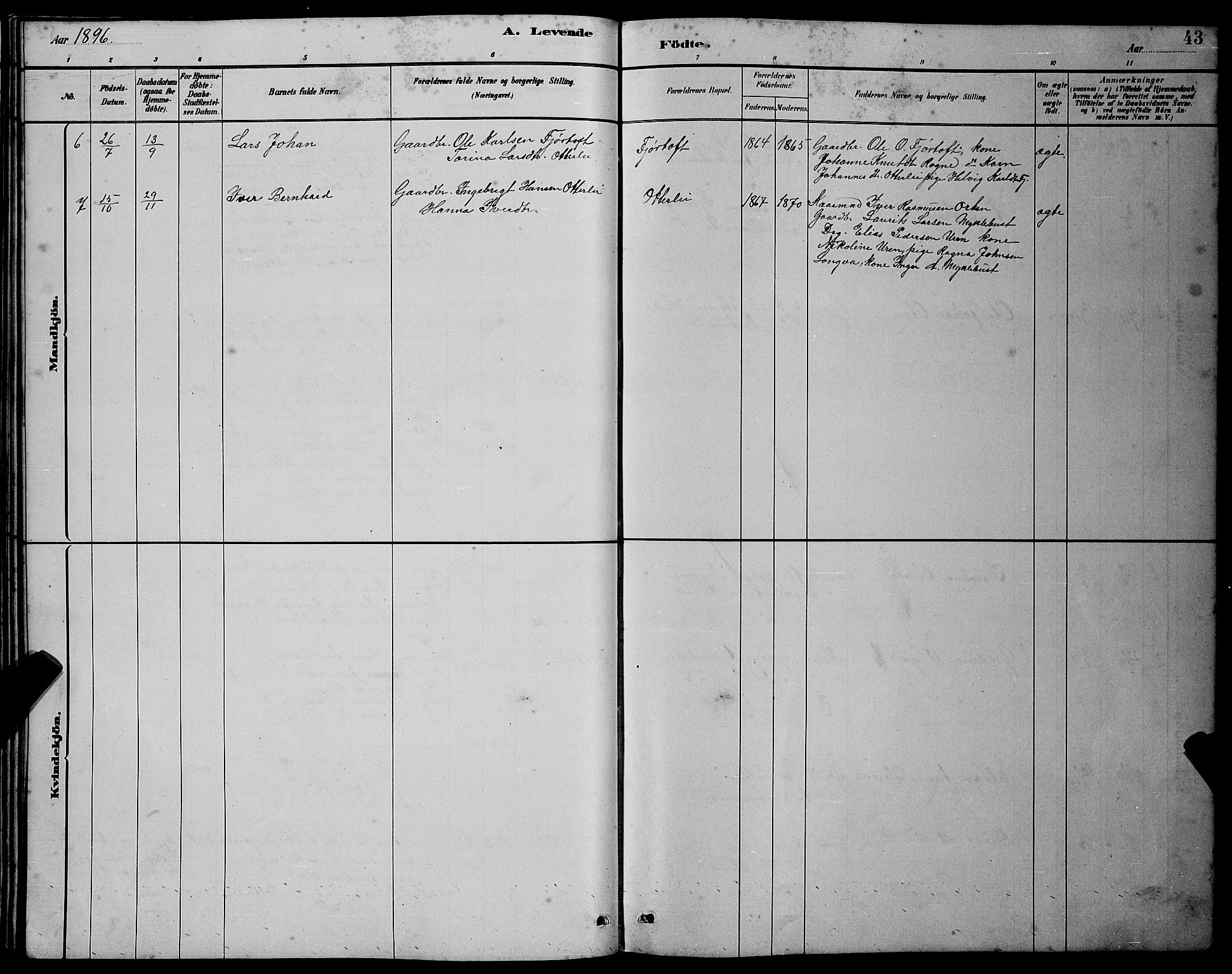 Ministerialprotokoller, klokkerbøker og fødselsregistre - Møre og Romsdal, AV/SAT-A-1454/538/L0523: Parish register (copy) no. 538C01, 1881-1900, p. 43