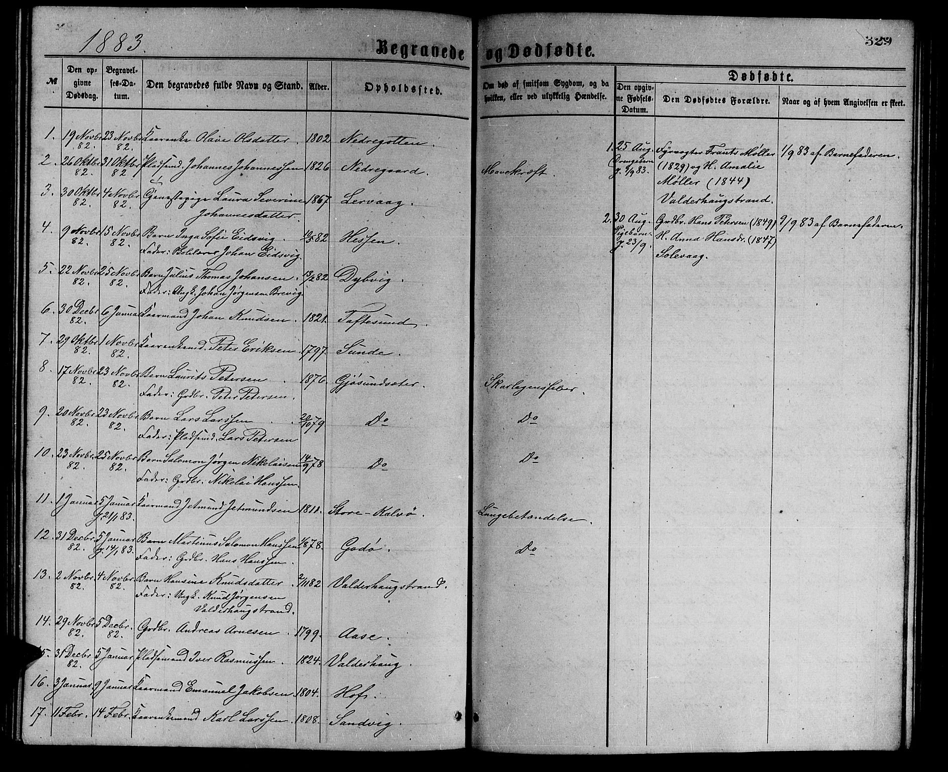 Ministerialprotokoller, klokkerbøker og fødselsregistre - Møre og Romsdal, AV/SAT-A-1454/528/L0429: Parish register (copy) no. 528C10, 1872-1886, p. 329