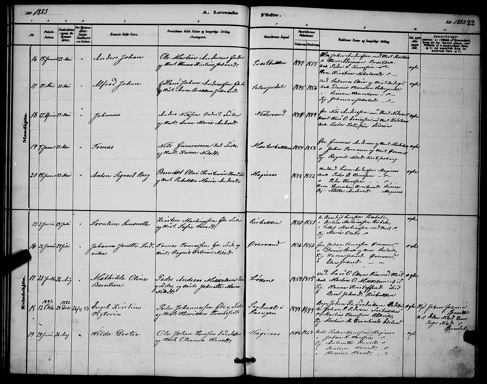 Ibestad sokneprestembete, AV/SATØ-S-0077/H/Ha/Hab/L0014klokker: Parish register (copy) no. 14, 1880-1887, p. 22