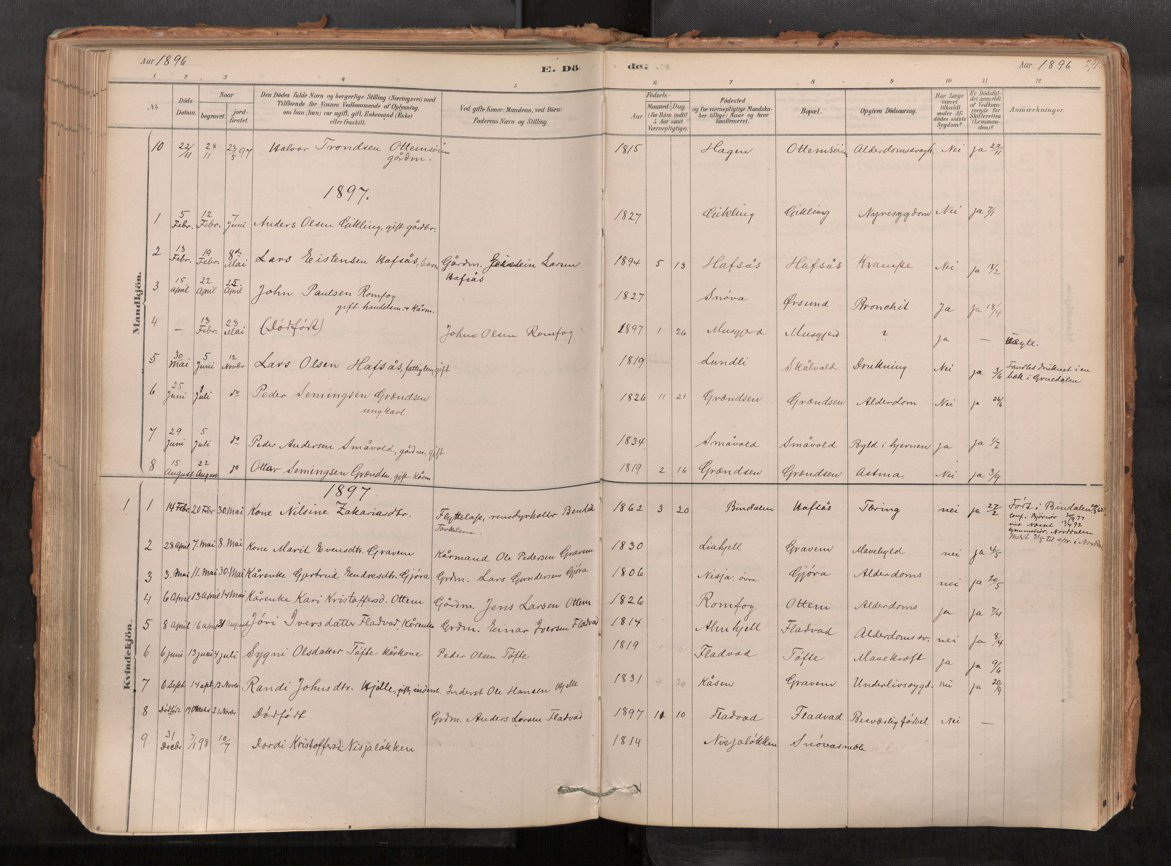 Sunndal sokneprestkontor, AV/SAT-A-1085/1/I/I1/I1a/L0001: Parish register (official) no. 1, 1877-1914, p. 291