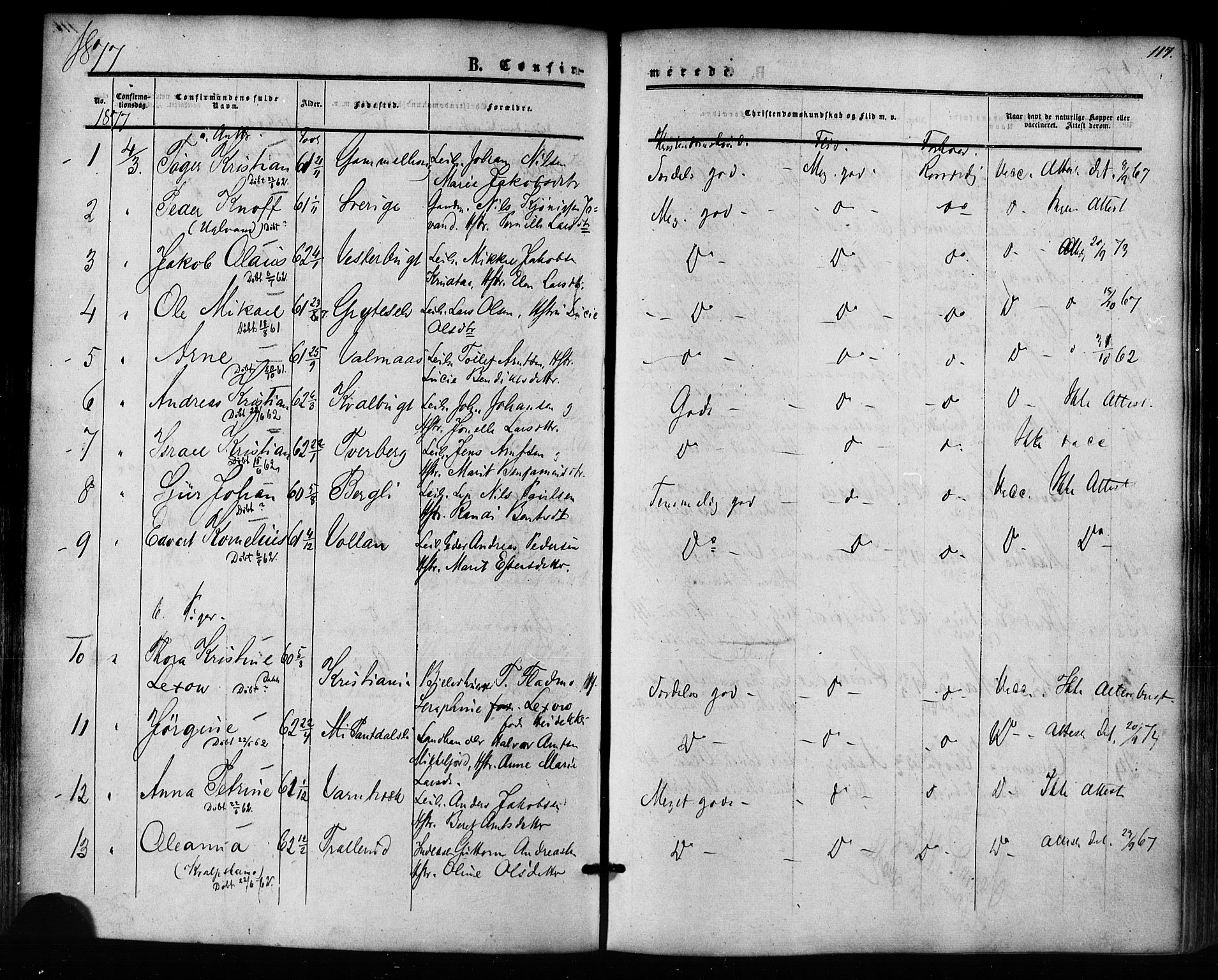 Ministerialprotokoller, klokkerbøker og fødselsregistre - Nordland, AV/SAT-A-1459/823/L0324: Parish register (official) no. 823A01, 1860-1878, p. 117