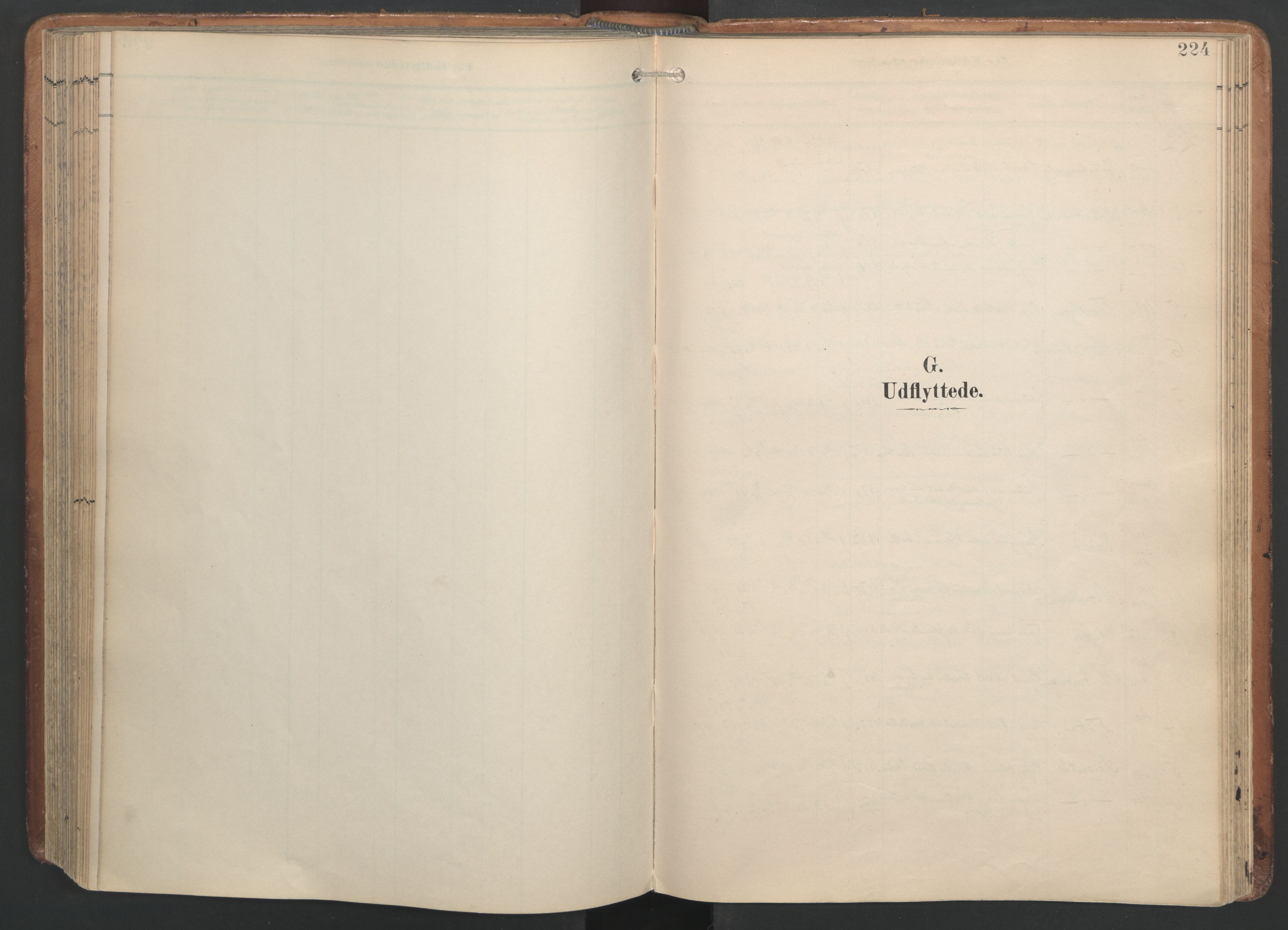 Ministerialprotokoller, klokkerbøker og fødselsregistre - Nordland, SAT/A-1459/820/L0298: Parish register (official) no. 820A19, 1897-1915, p. 224