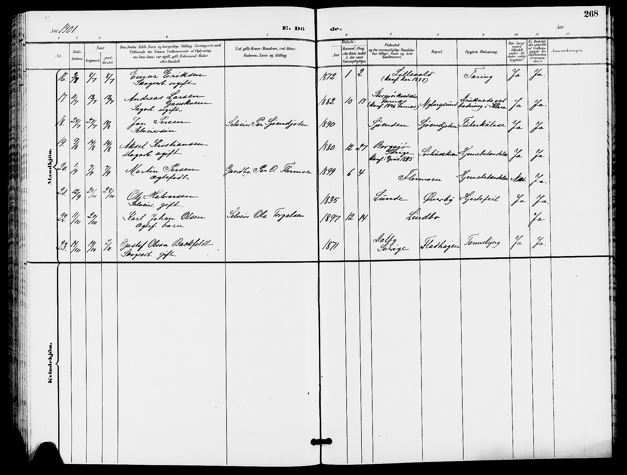 Trysil prestekontor, AV/SAH-PREST-046/H/Ha/Hab/L0006: Parish register (copy) no. 6, 1896-1912, p. 268