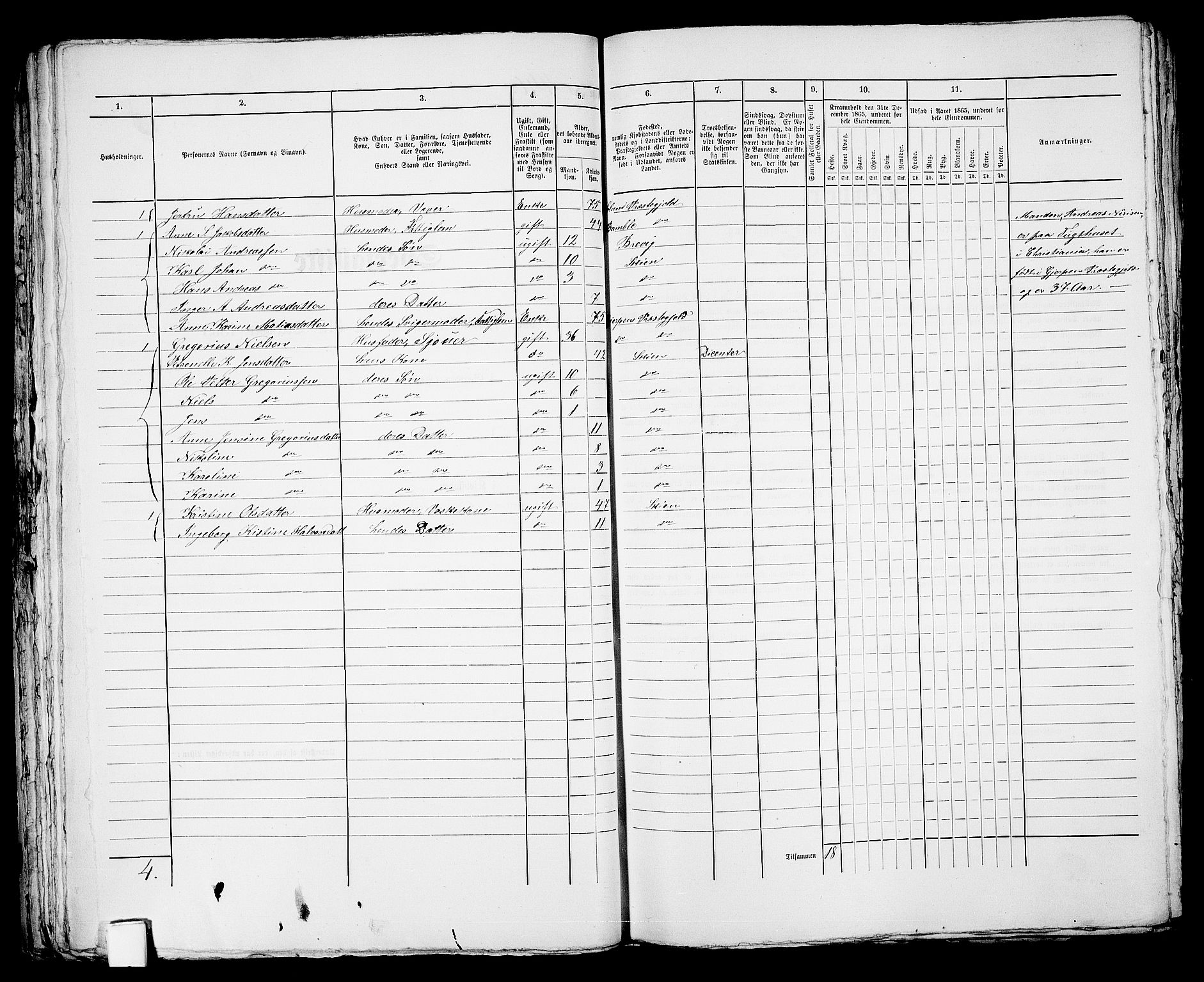 RA, 1865 census for Skien, 1865, p. 906