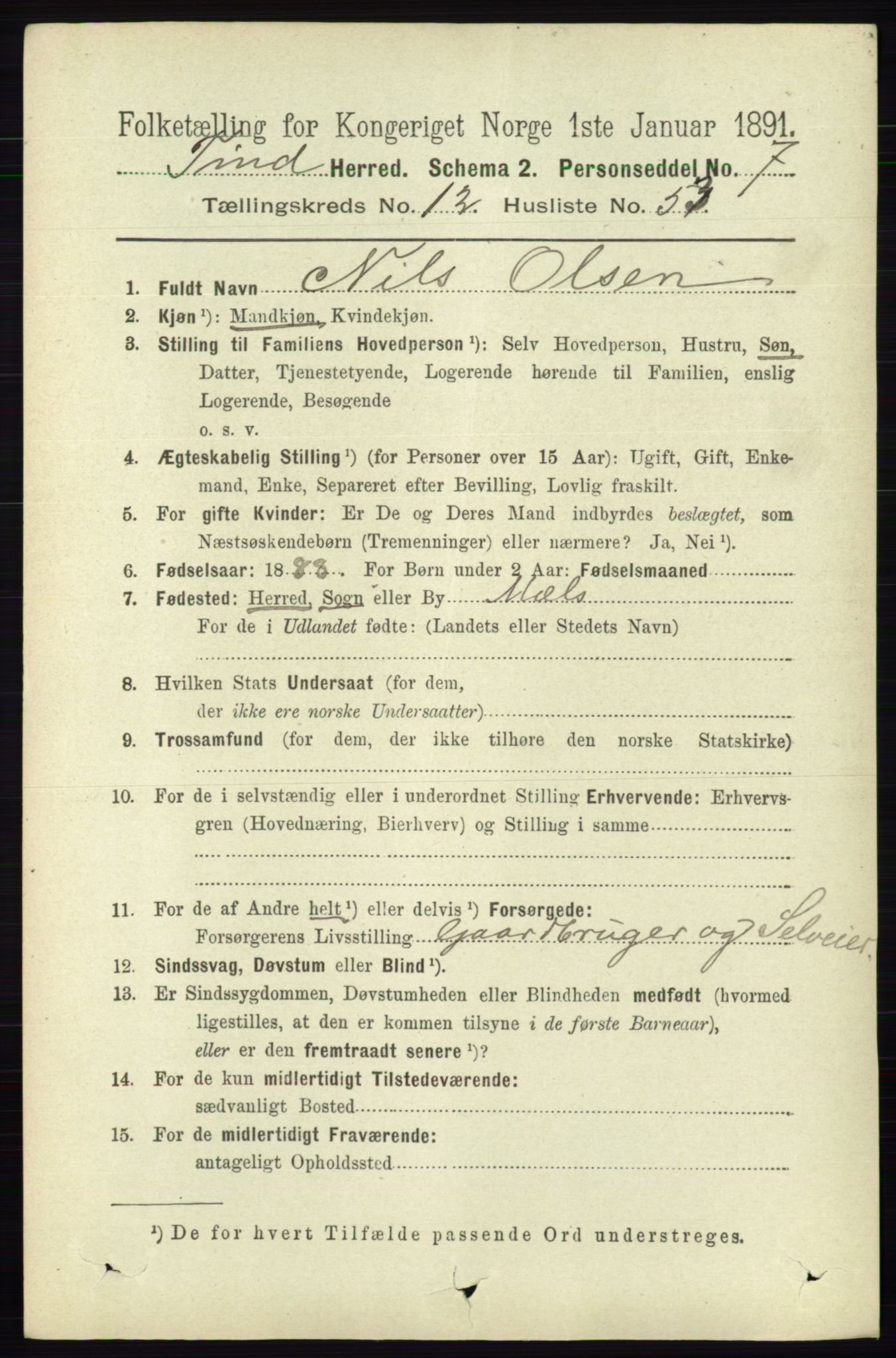 RA, 1891 census for 0826 Tinn, 1891, p. 2624