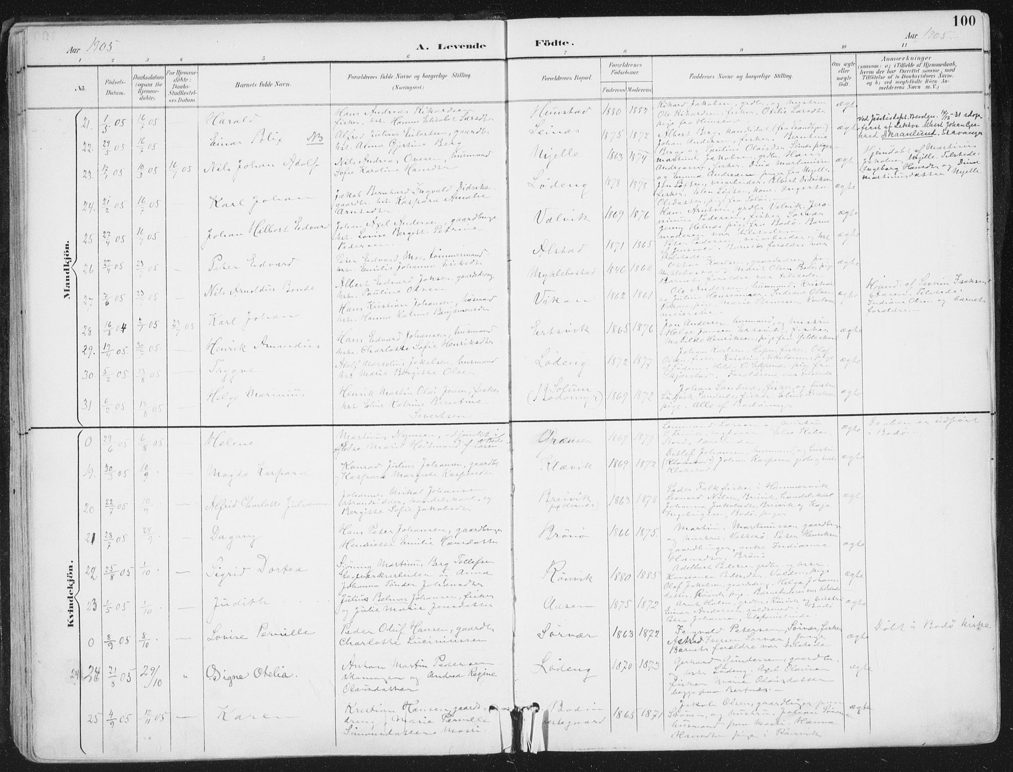 Ministerialprotokoller, klokkerbøker og fødselsregistre - Nordland, AV/SAT-A-1459/802/L0055: Parish register (official) no. 802A02, 1894-1915, p. 100