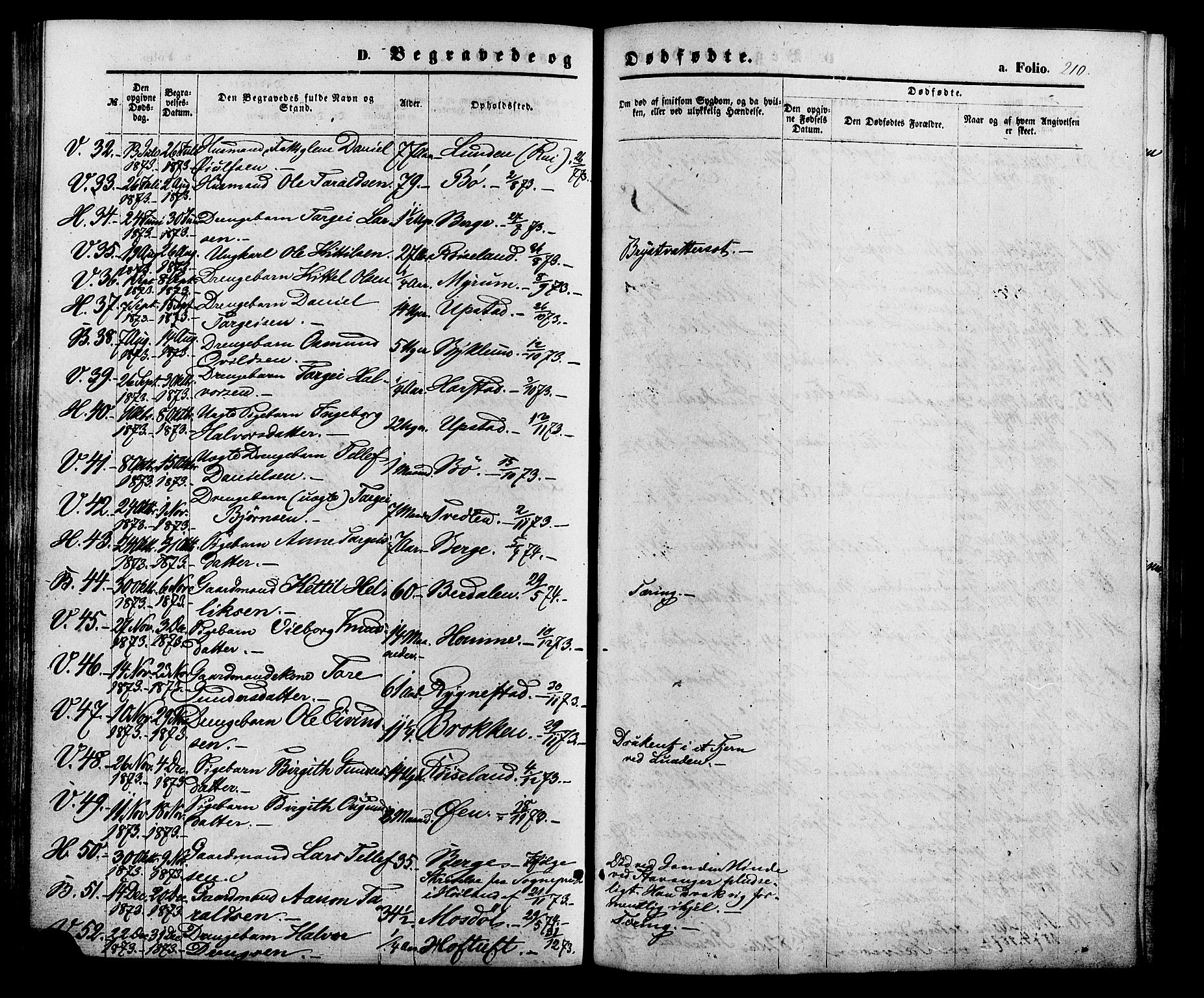 Valle sokneprestkontor, AV/SAK-1111-0044/F/Fa/Fac/L0008: Parish register (official) no. A 8, 1868-1882, p. 210