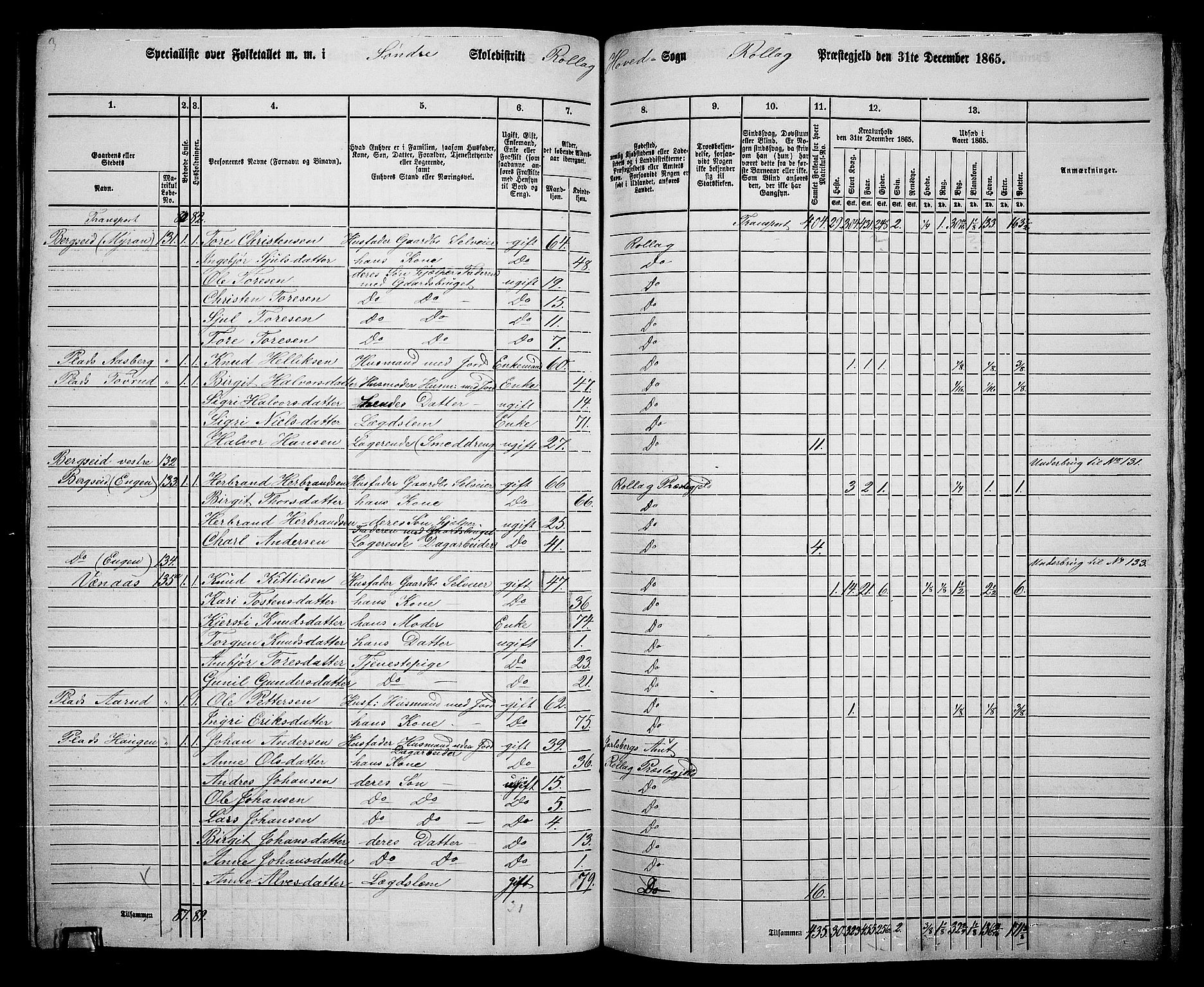 RA, 1865 census for Rollag, 1865, p. 22