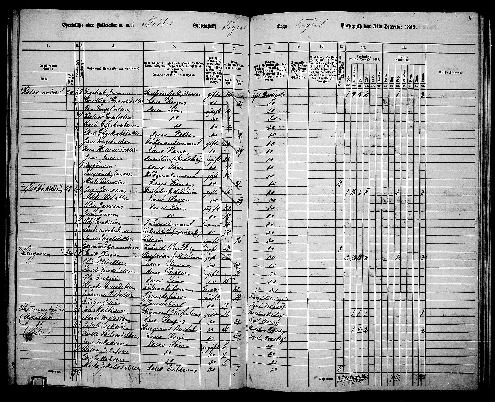 RA, 1865 census for Trysil, 1865, p. 119