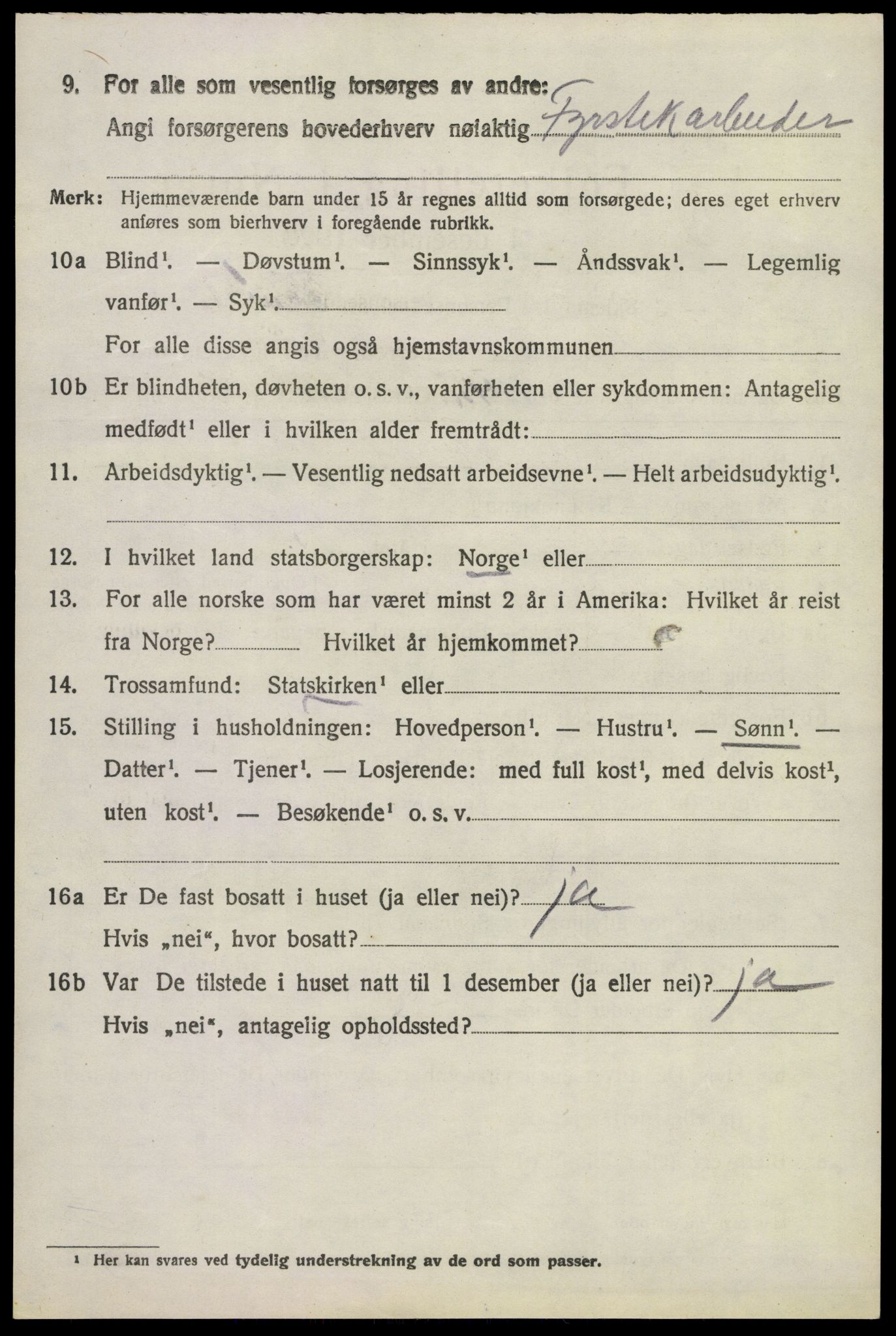 SAKO, 1920 census for Brunlanes, 1920, p. 6070