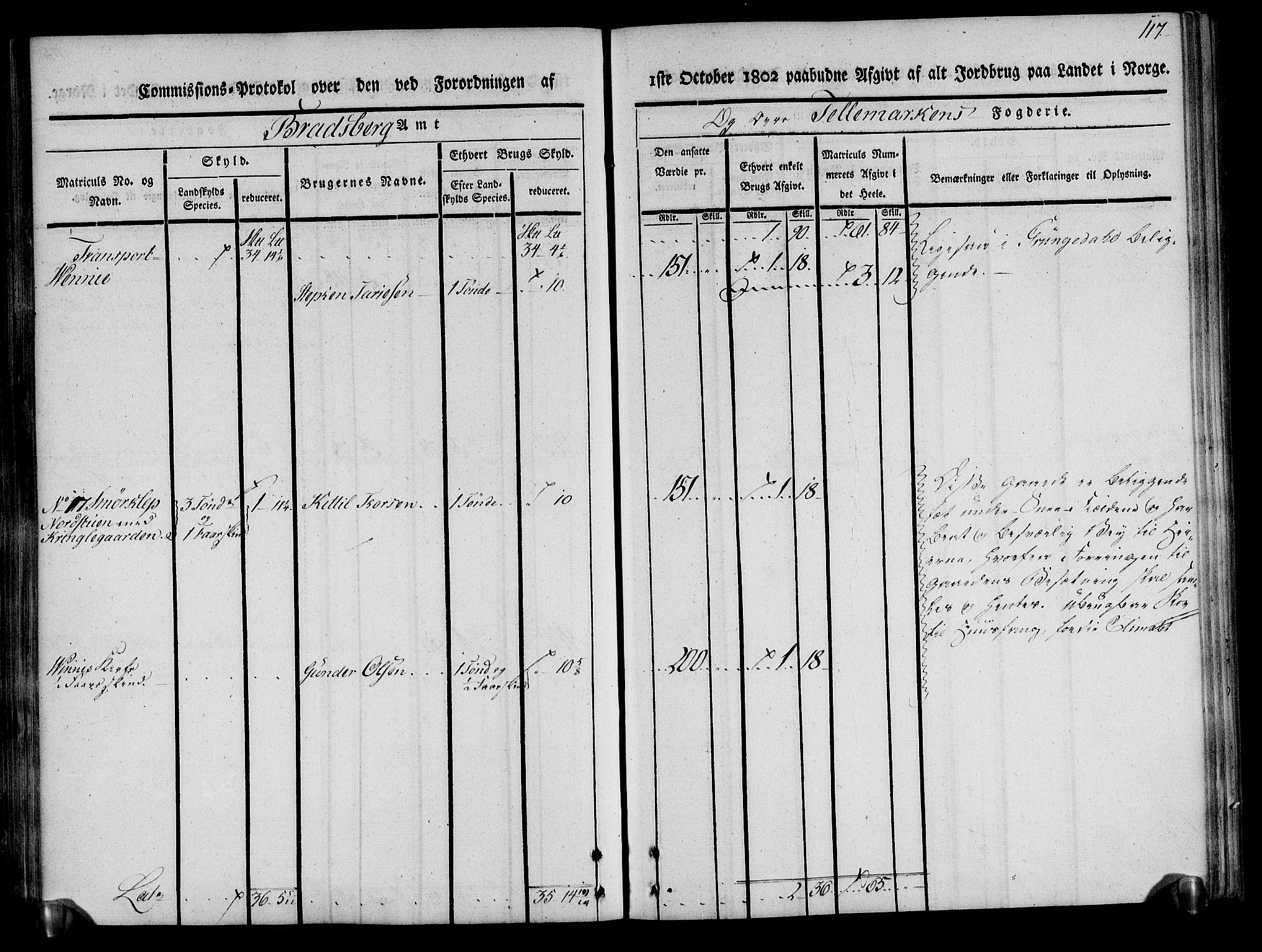 Rentekammeret inntil 1814, Realistisk ordnet avdeling, AV/RA-EA-4070/N/Ne/Nea/L0075: Øvre Telemarken fogderi. Kommisjonsprotokoll for fogderiets vestre del - Kviteseid, Vinje, Moland [):Fyresdal] og Lårdal prestegjeld., 1803, p. 118