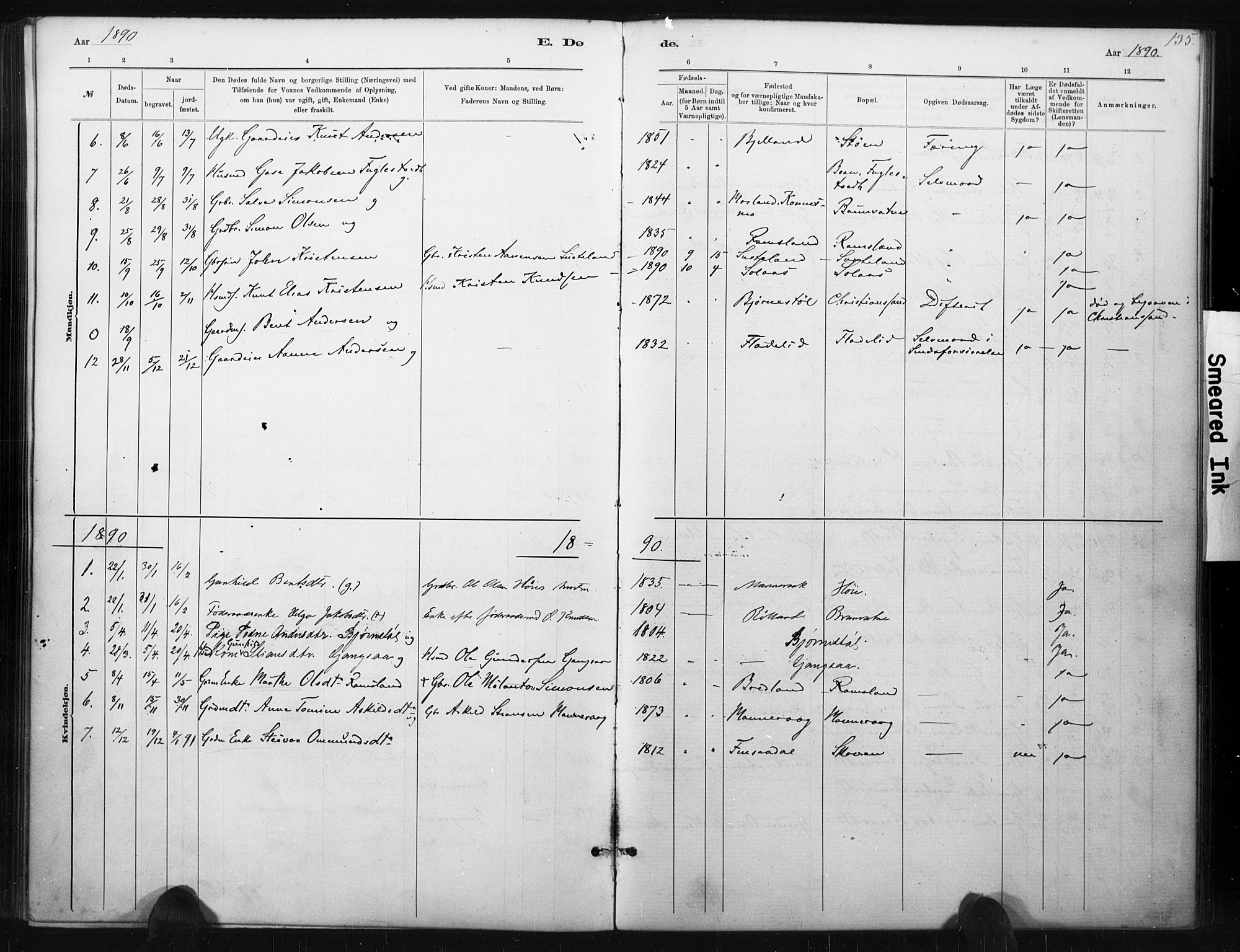 Holum sokneprestkontor, AV/SAK-1111-0022/F/Fa/Fac/L0004: Parish register (official) no. A 4, 1884-1907, p. 135