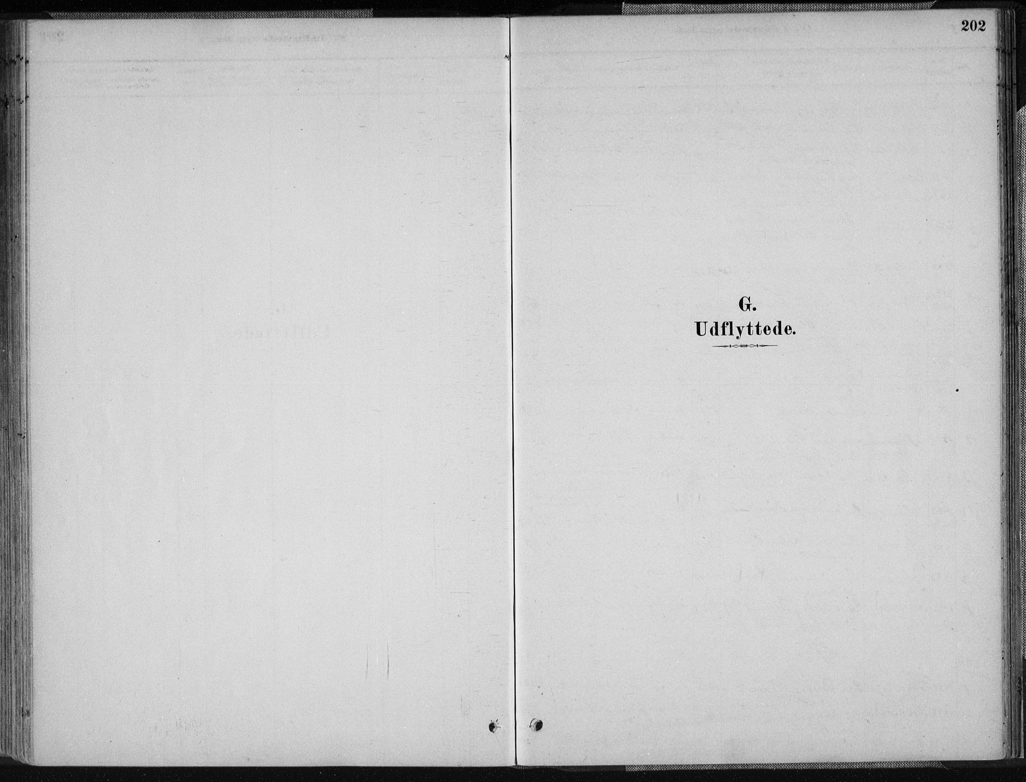 Sør-Audnedal sokneprestkontor, SAK/1111-0039/F/Fa/Fab/L0009: Parish register (official) no. A 9, 1880-1895, p. 202