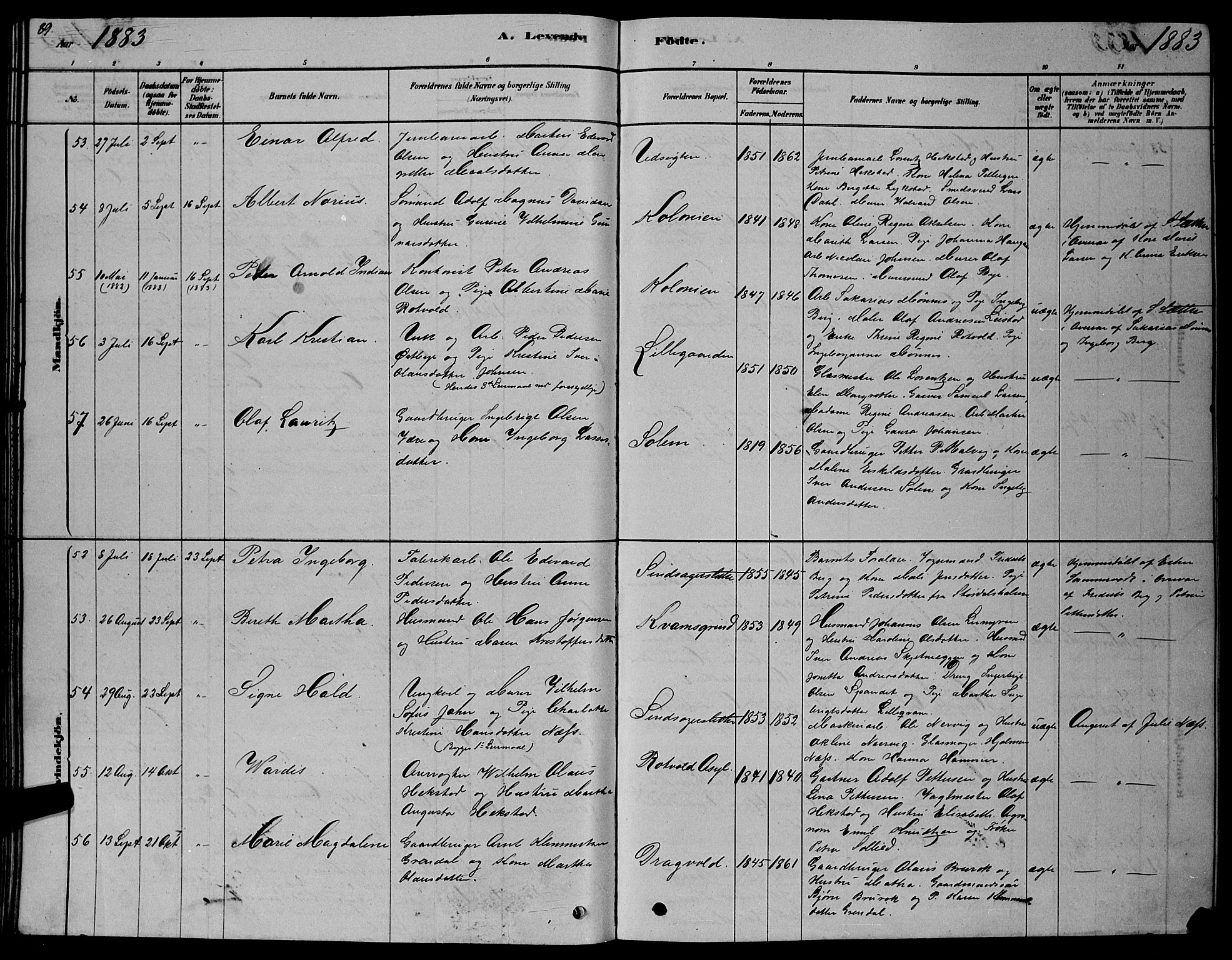 Ministerialprotokoller, klokkerbøker og fødselsregistre - Sør-Trøndelag, AV/SAT-A-1456/606/L0312: Parish register (copy) no. 606C08, 1878-1894, p. 89