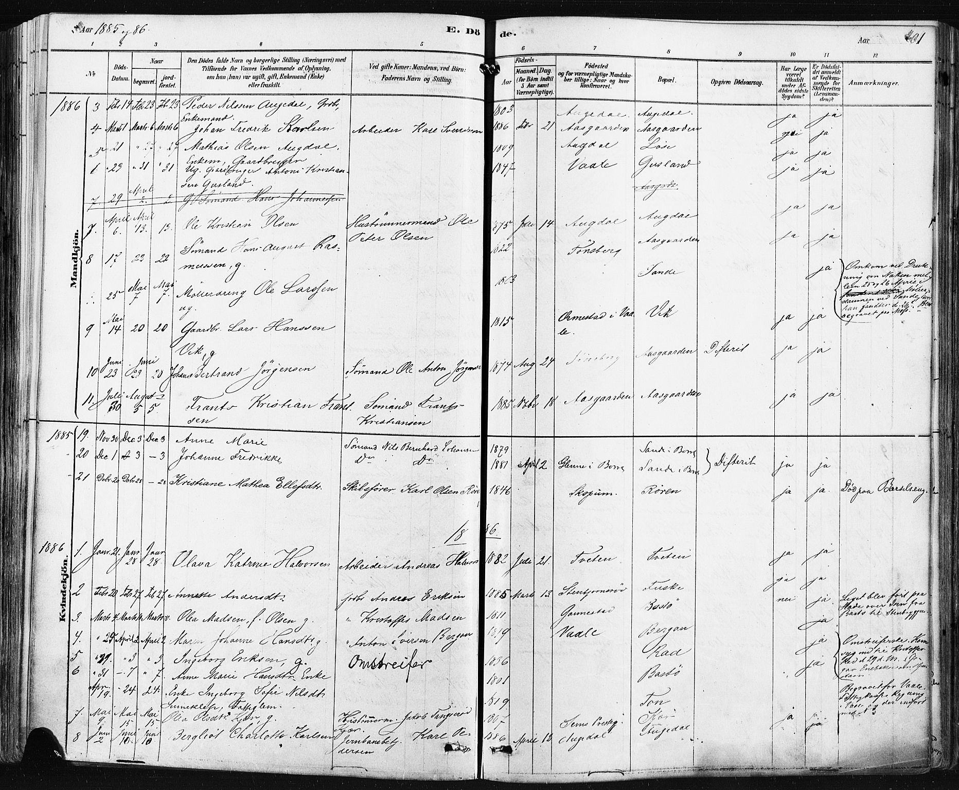 Borre kirkebøker, AV/SAKO-A-338/F/Fa/L0009: Parish register (official) no. I 9, 1878-1896, p. 201