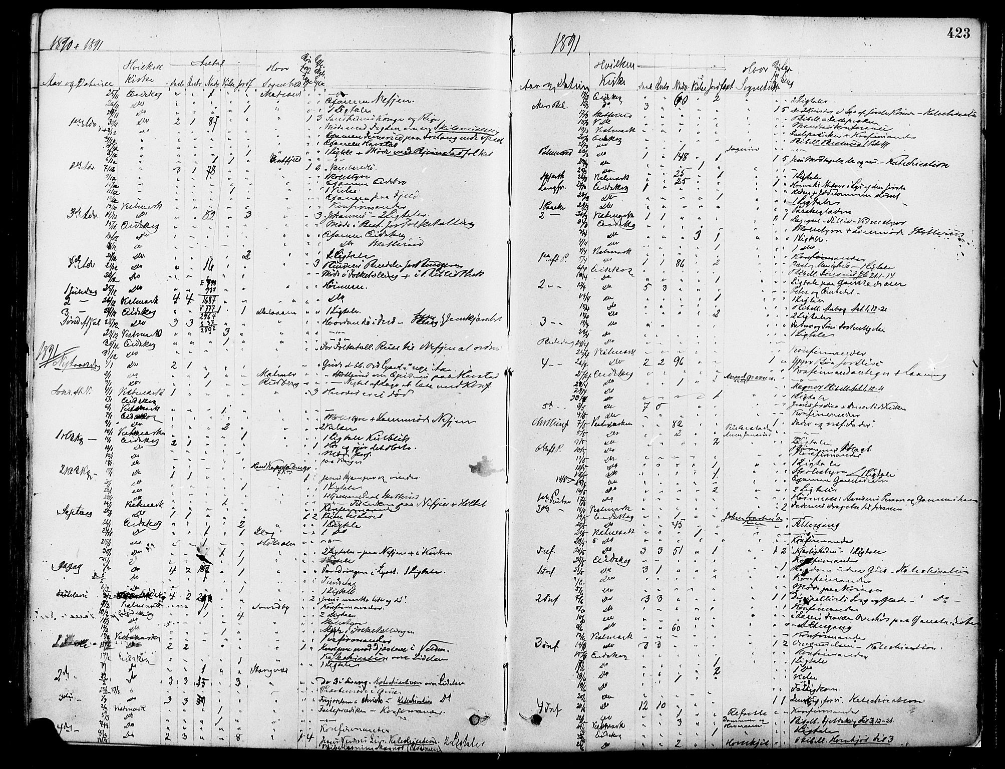 Eidskog prestekontor, AV/SAH-PREST-026/H/Ha/Haa/L0003: Parish register (official) no. 3, 1879-1892, p. 423