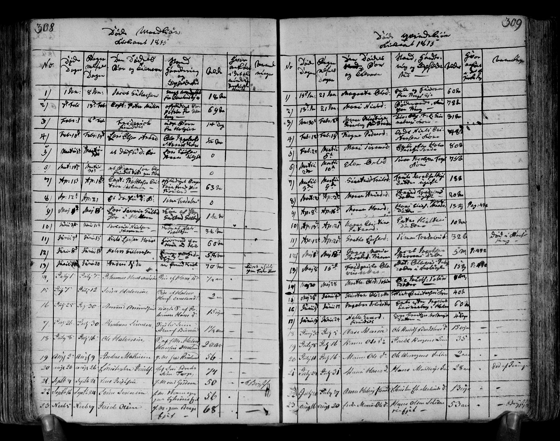 Brunlanes kirkebøker, SAKO/A-342/F/Fa/L0002: Parish register (official) no. I 2, 1802-1834, p. 308-309