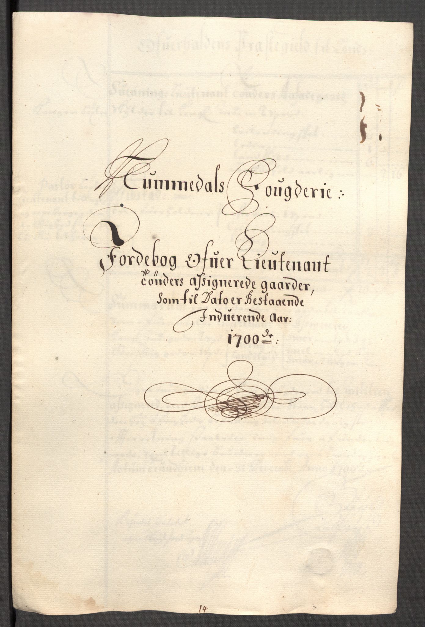 Rentekammeret inntil 1814, Reviderte regnskaper, Fogderegnskap, RA/EA-4092/R64/L4426: Fogderegnskap Namdal, 1699-1700, p. 306