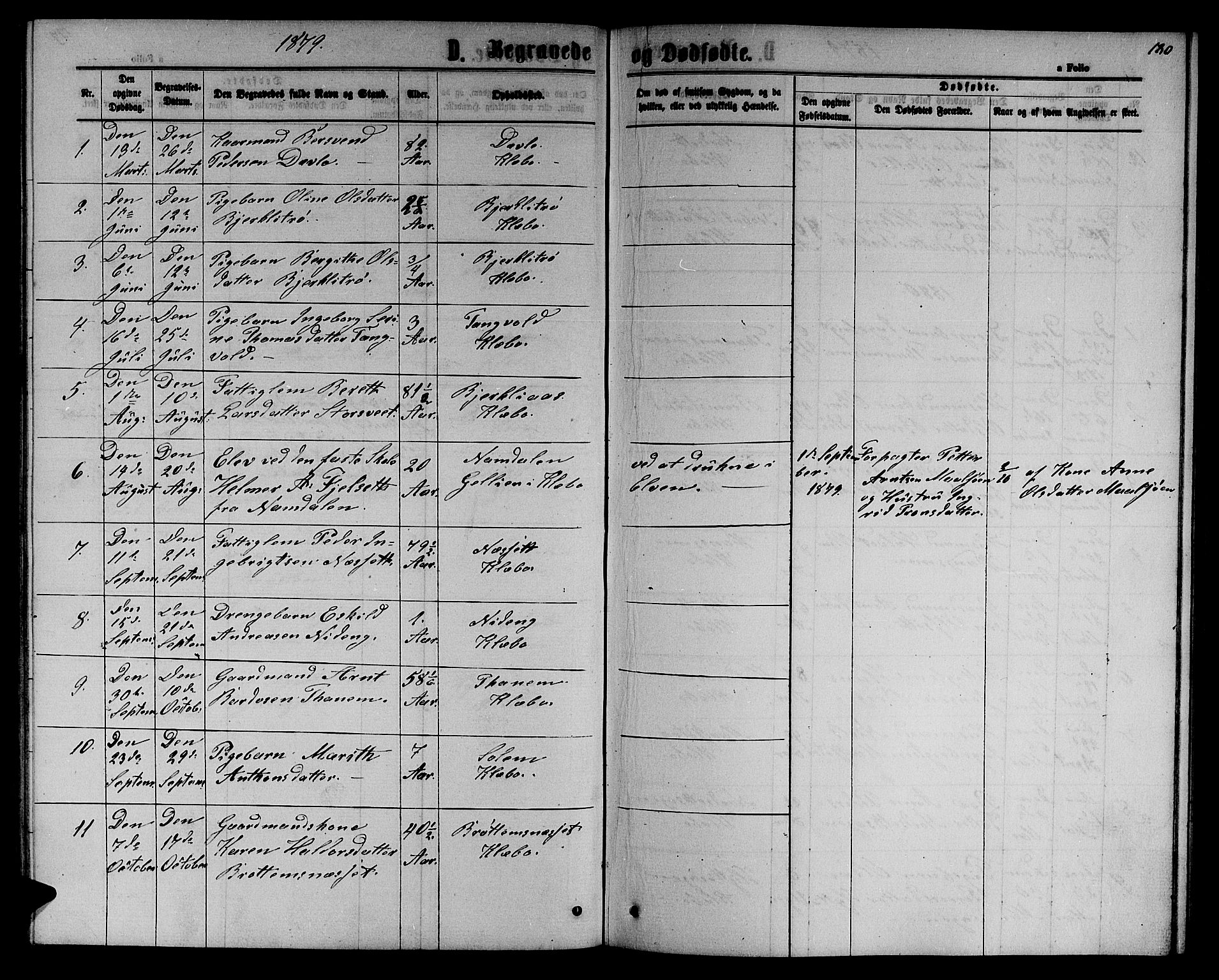 Ministerialprotokoller, klokkerbøker og fødselsregistre - Sør-Trøndelag, SAT/A-1456/618/L0451: Parish register (copy) no. 618C02, 1865-1883, p. 180